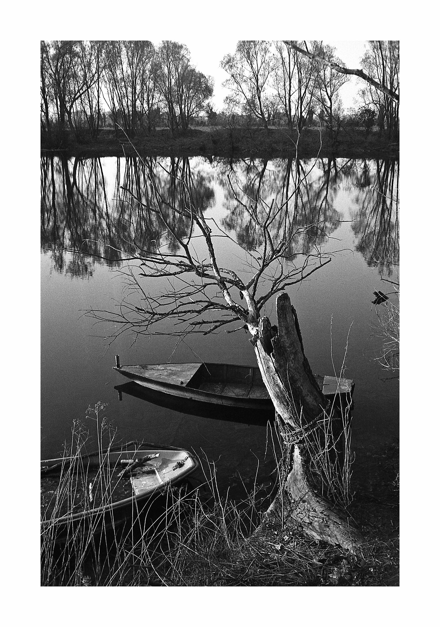 country feedback ;/)