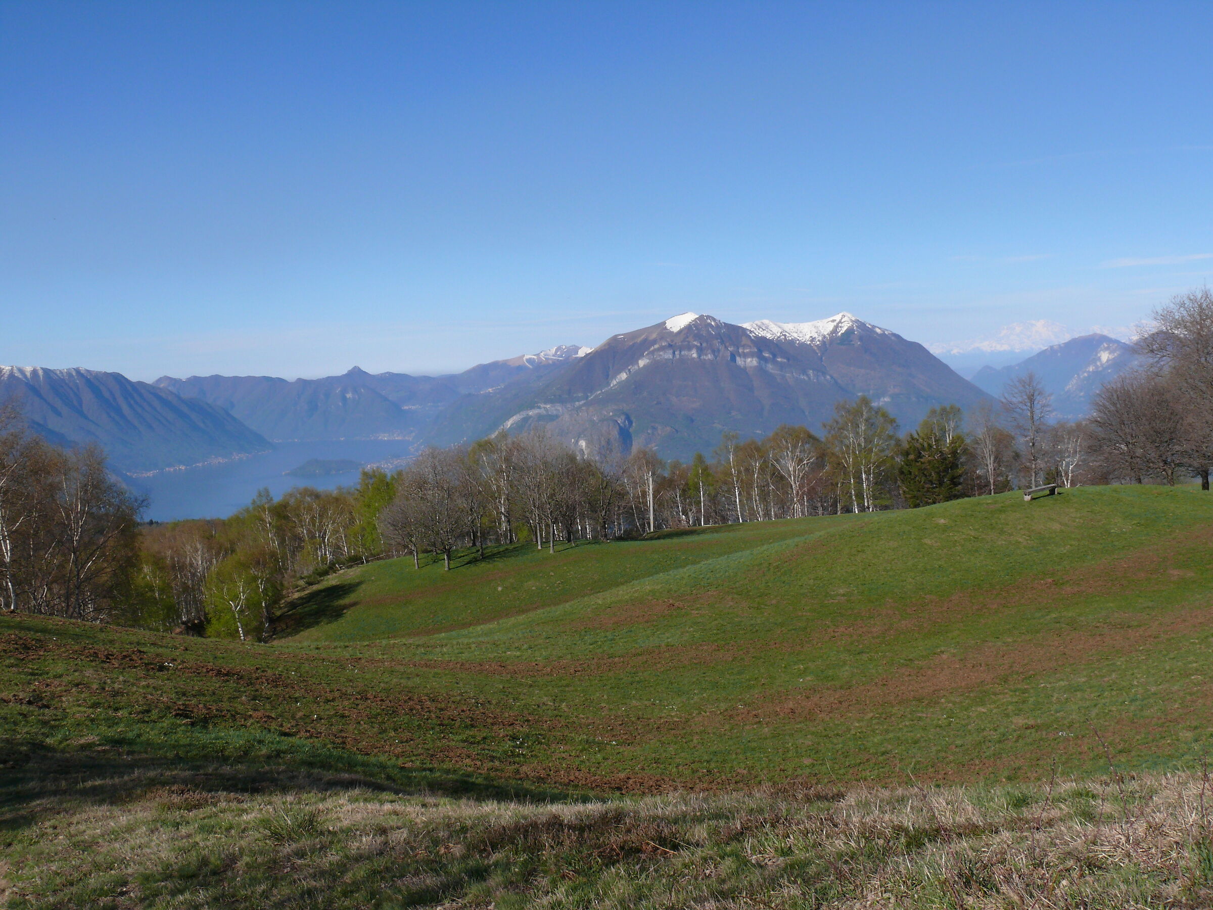 Early hints of spring