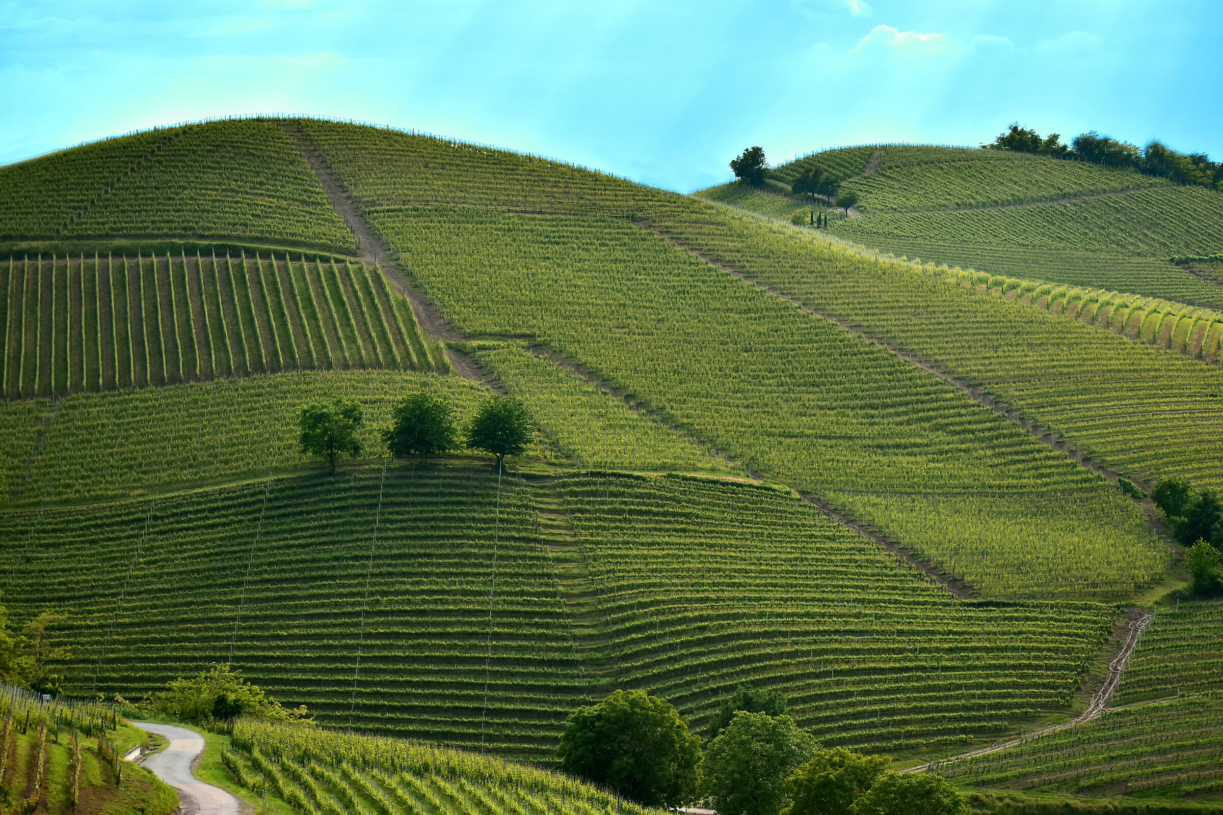 Do you remember green hills