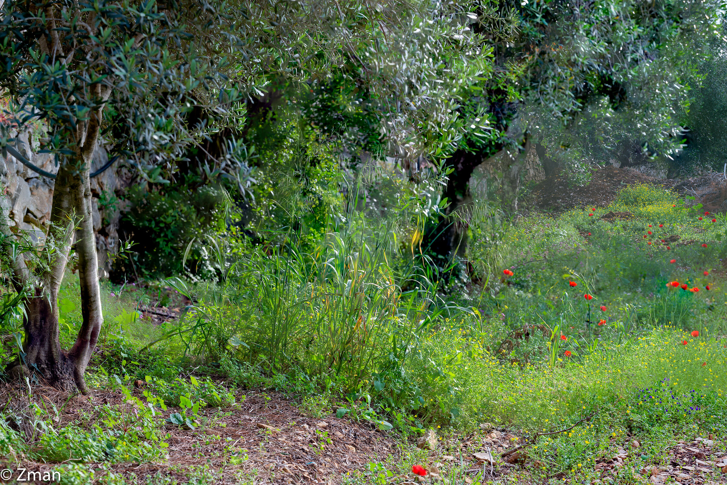 Lockdown Nel nostro Rifugio del Sud
