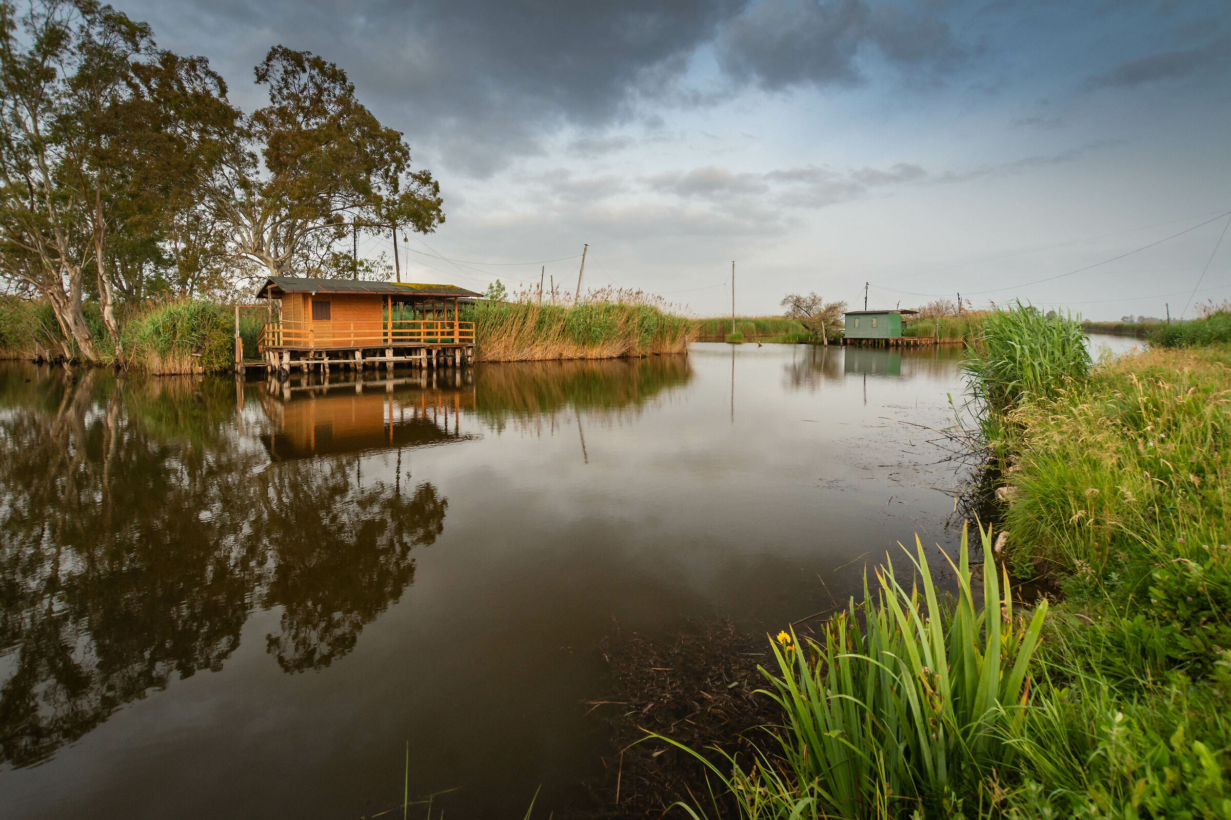 The case in the padule