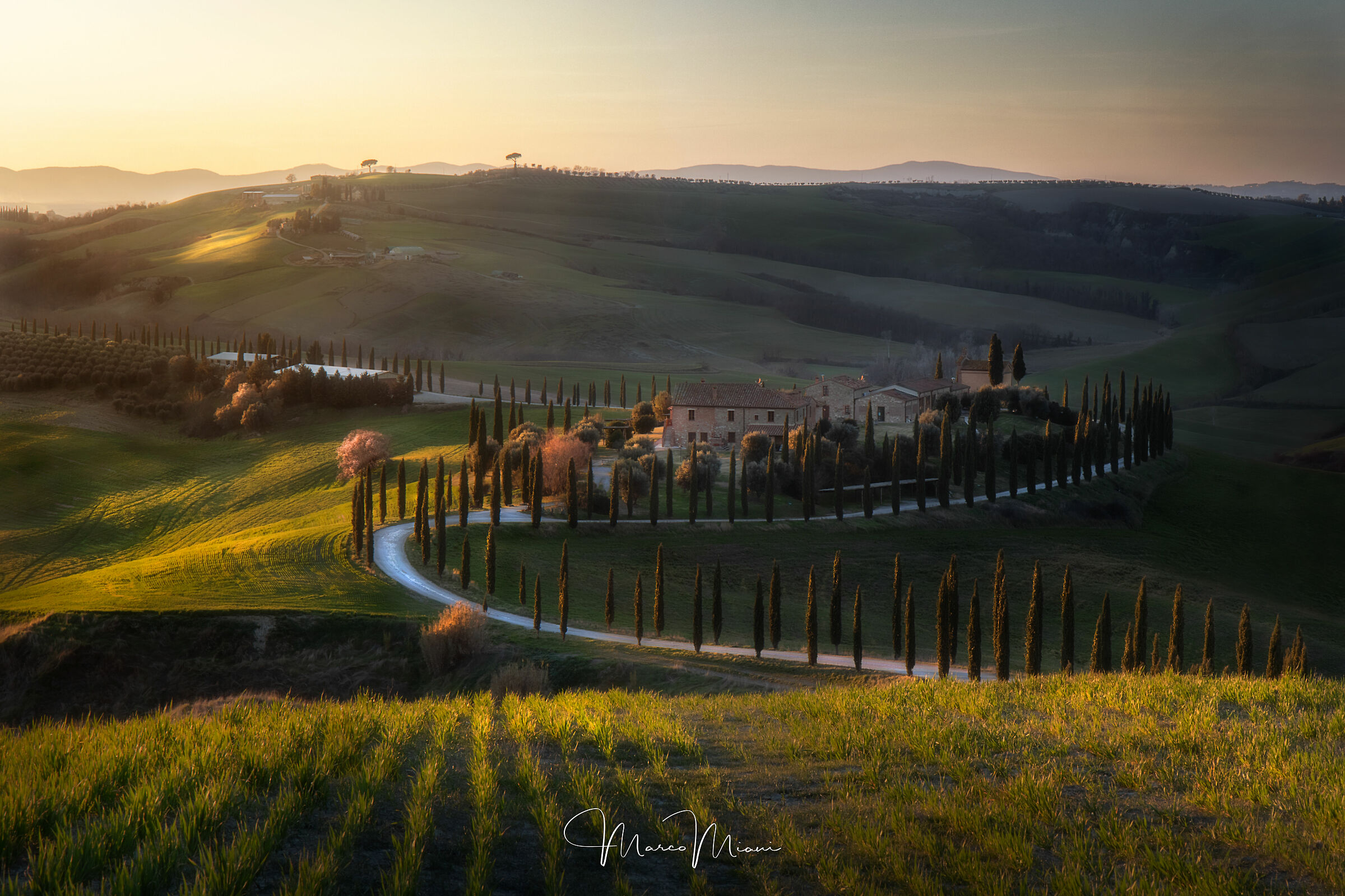 Golden Tuscany