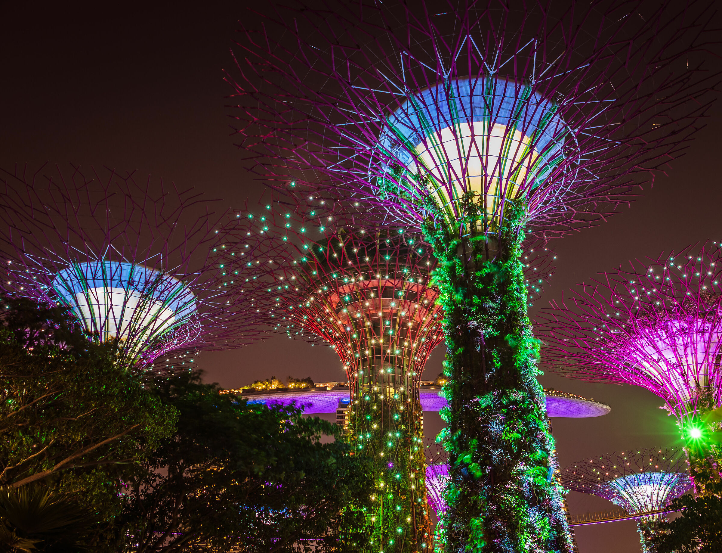 Light Show al SuperTree Grove