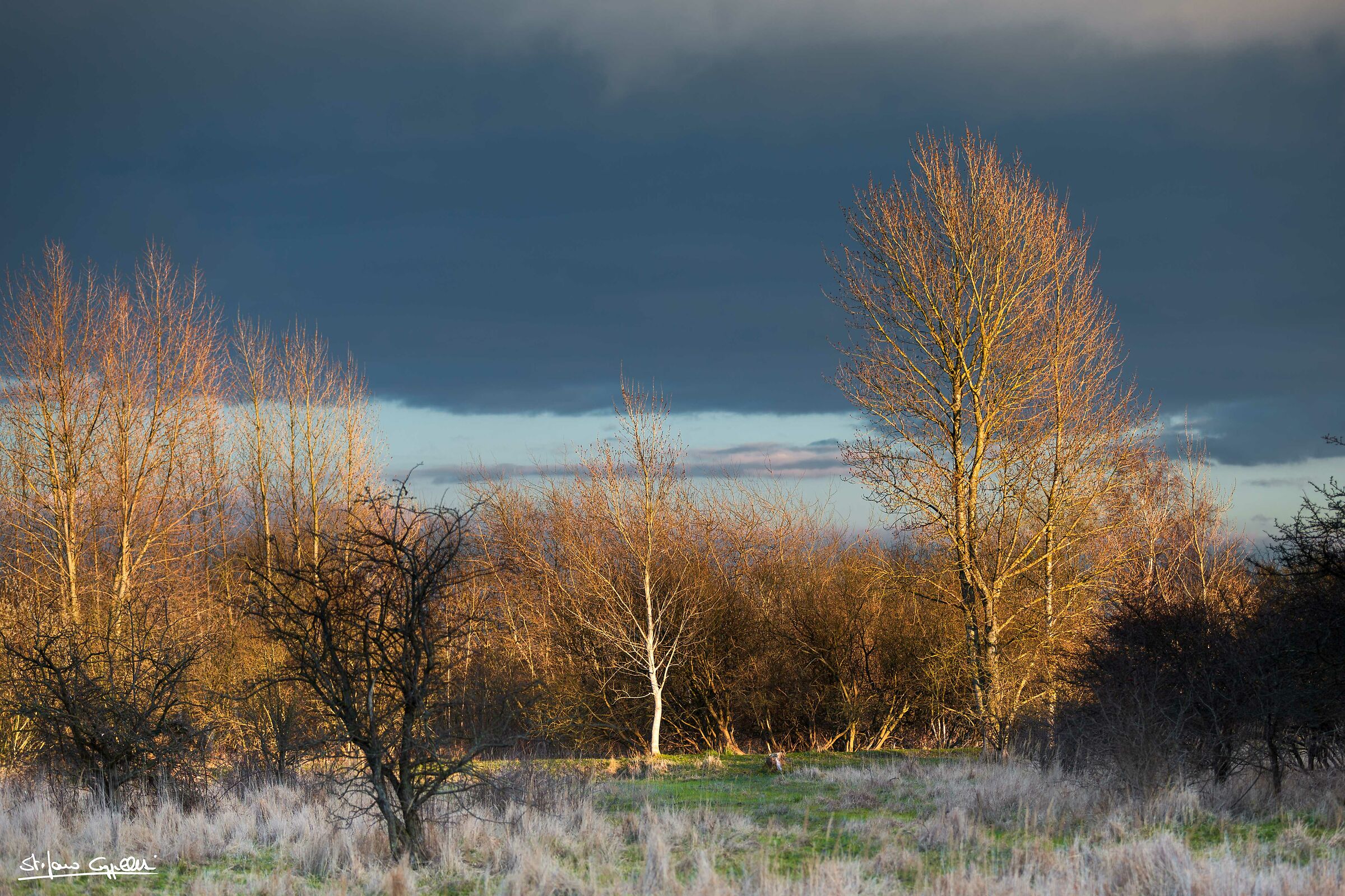 Tramonto invernale in Danimarca