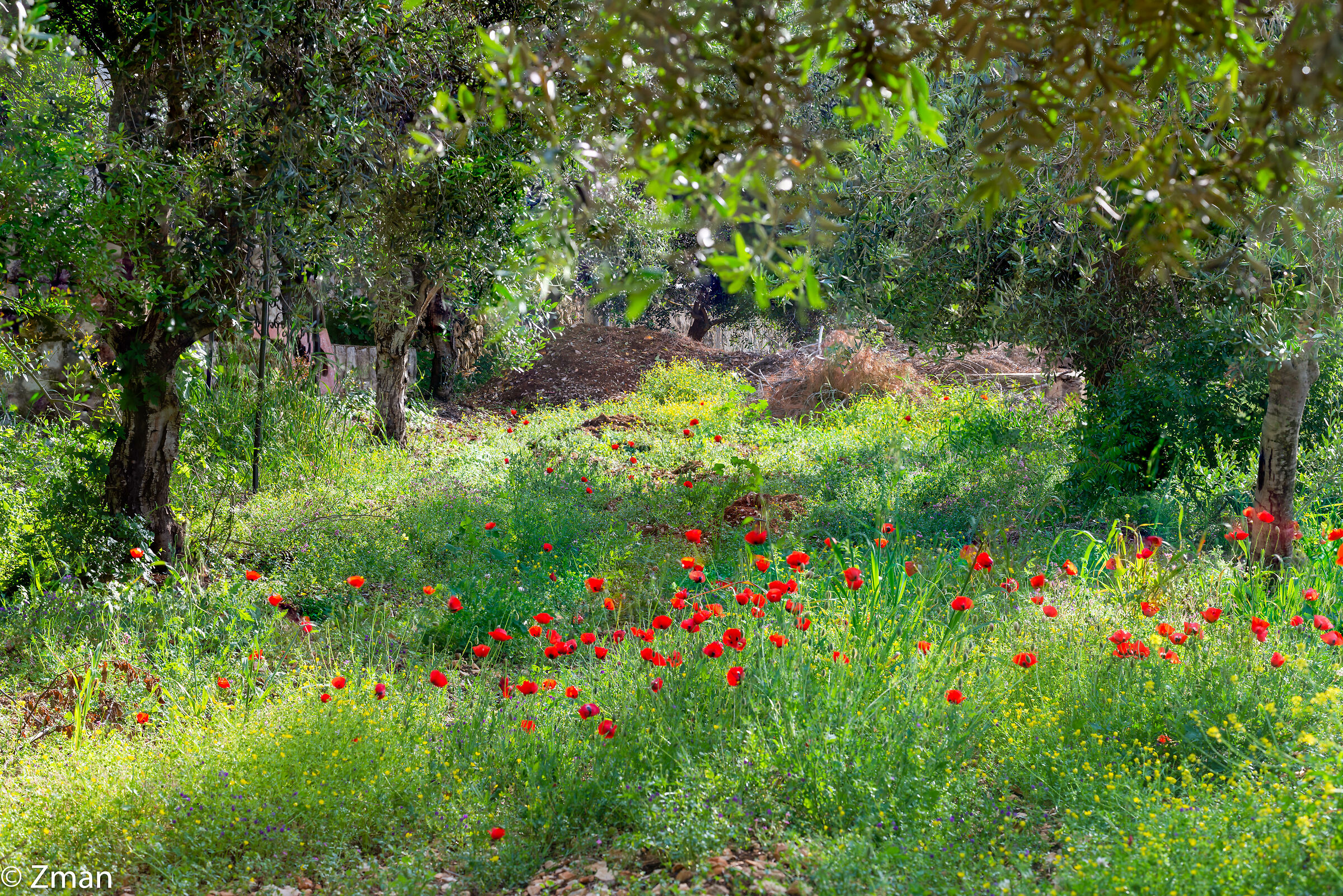 Lockdown Nel nostro Rifugio del Sud