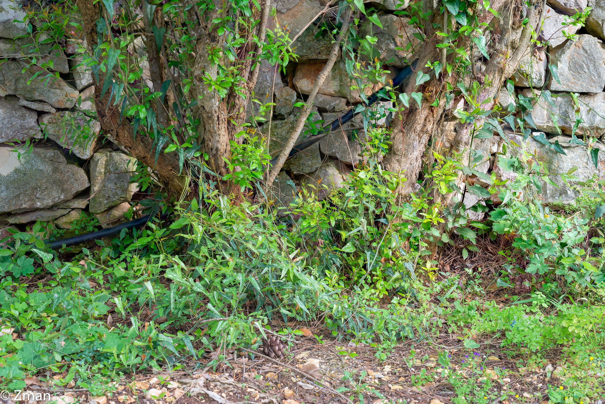 Lockdown Nel nostro Rifugio del Sud