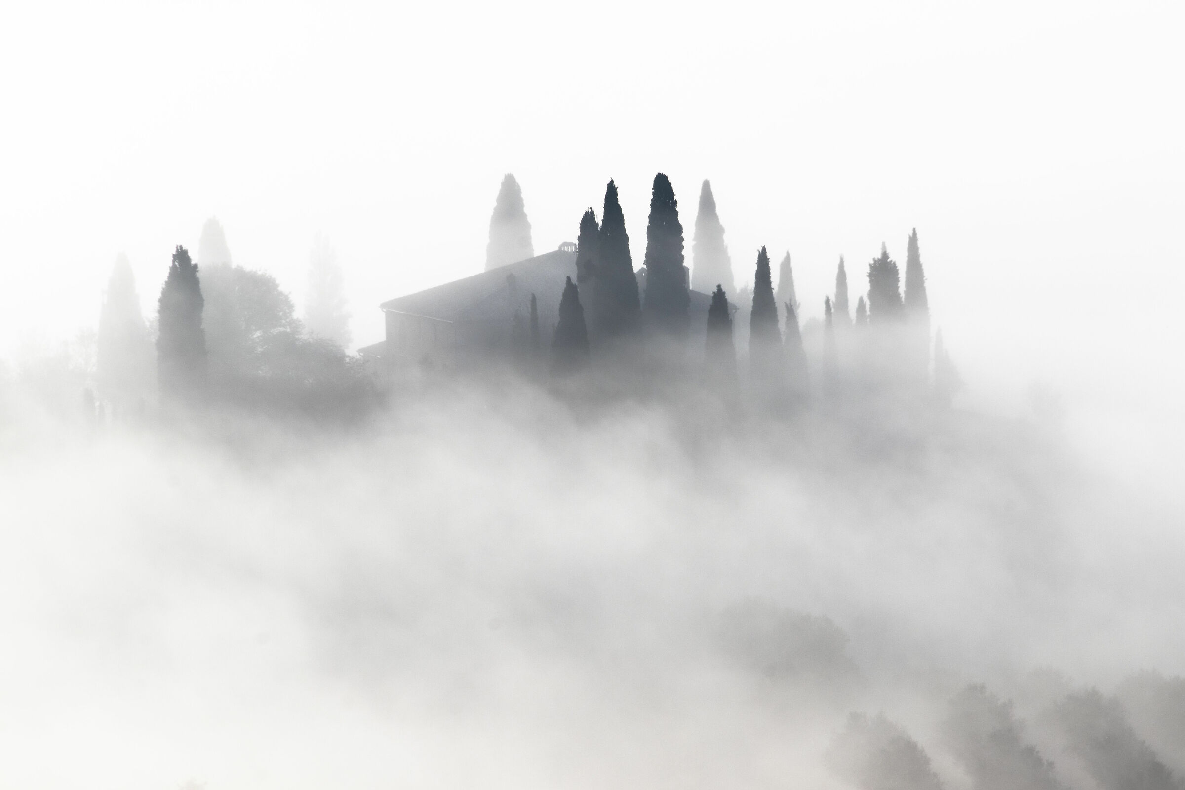 Nebbia