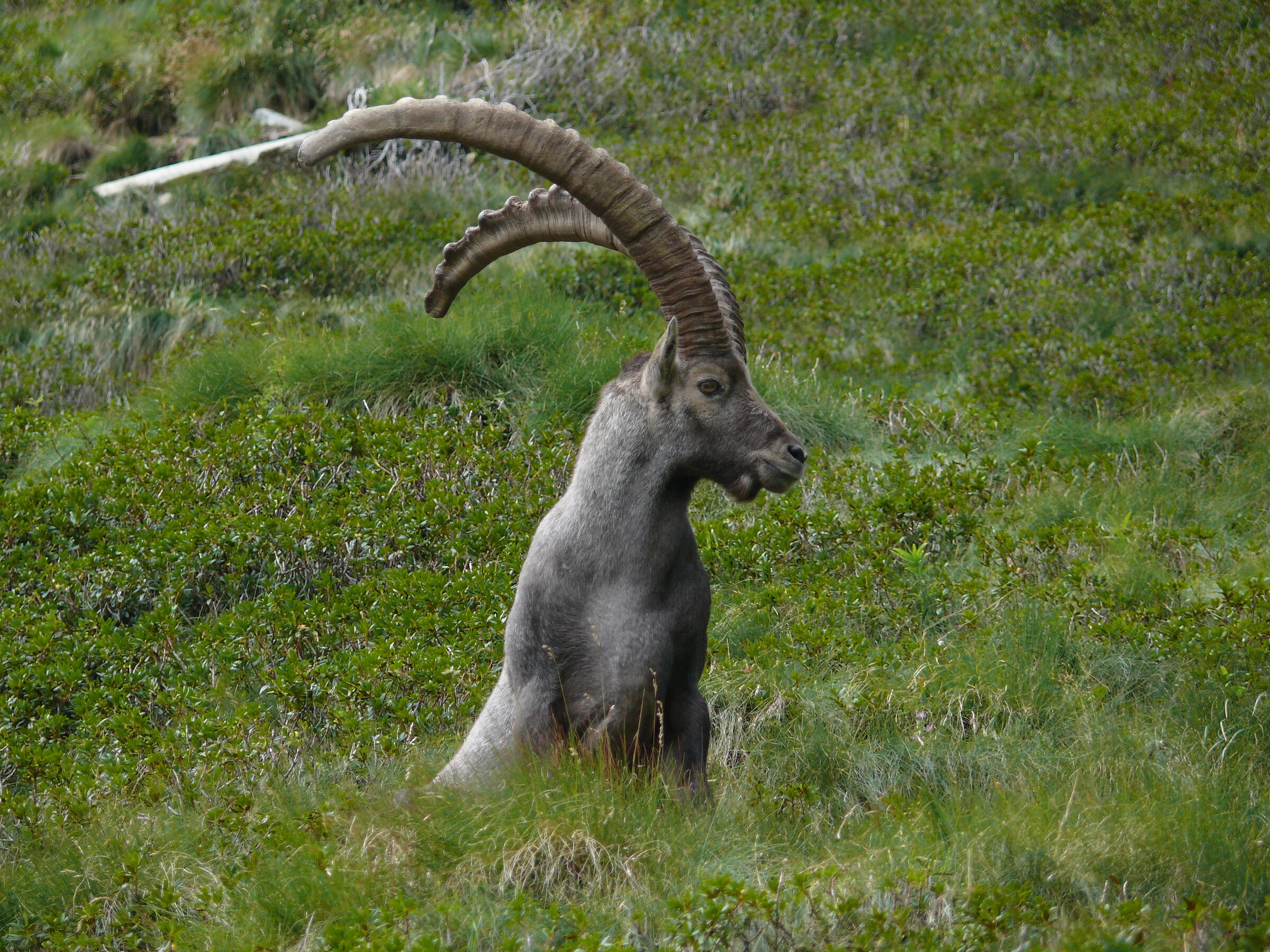 This is my most photogenic profile