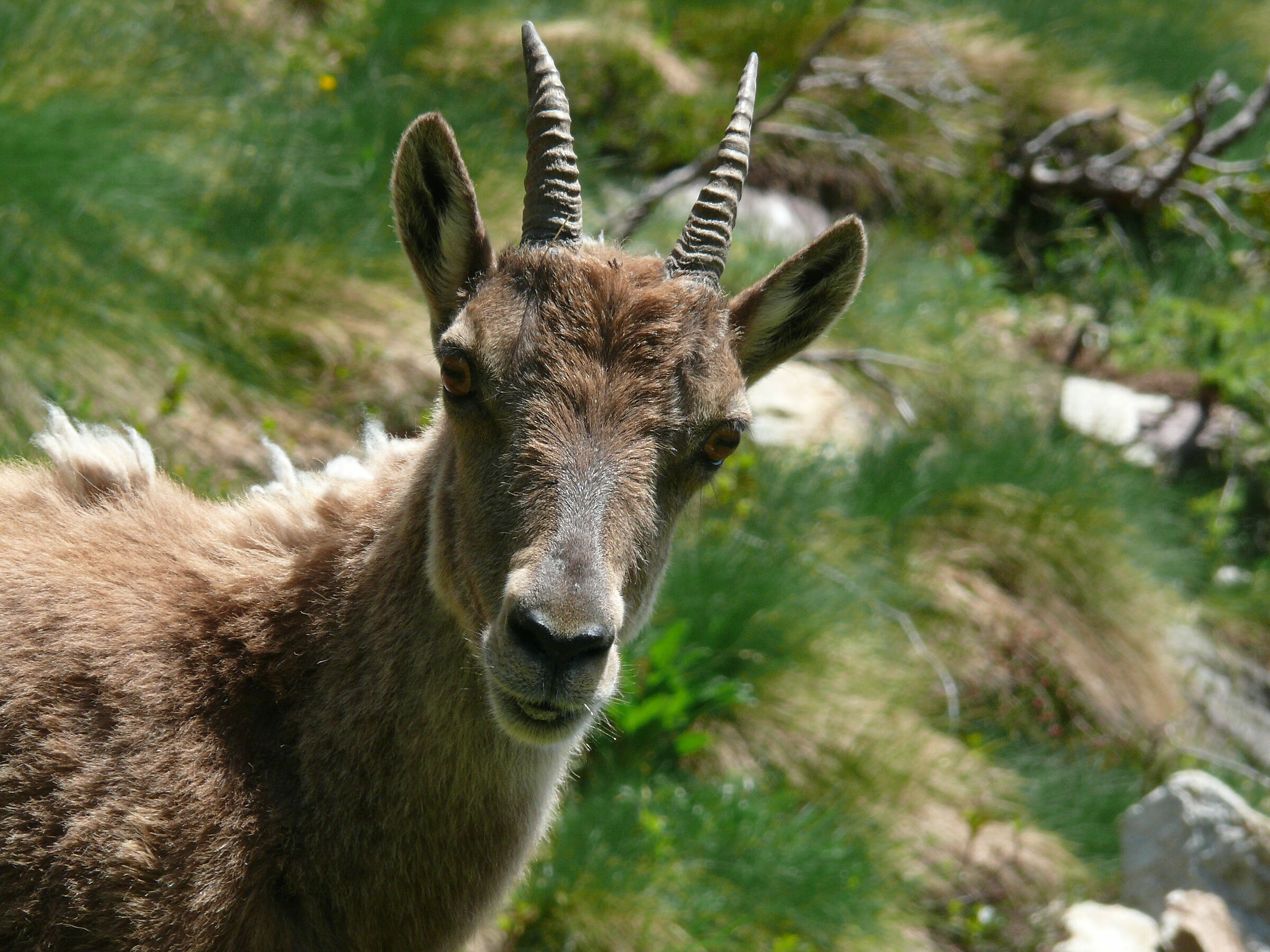 I must have seen you before... Where?