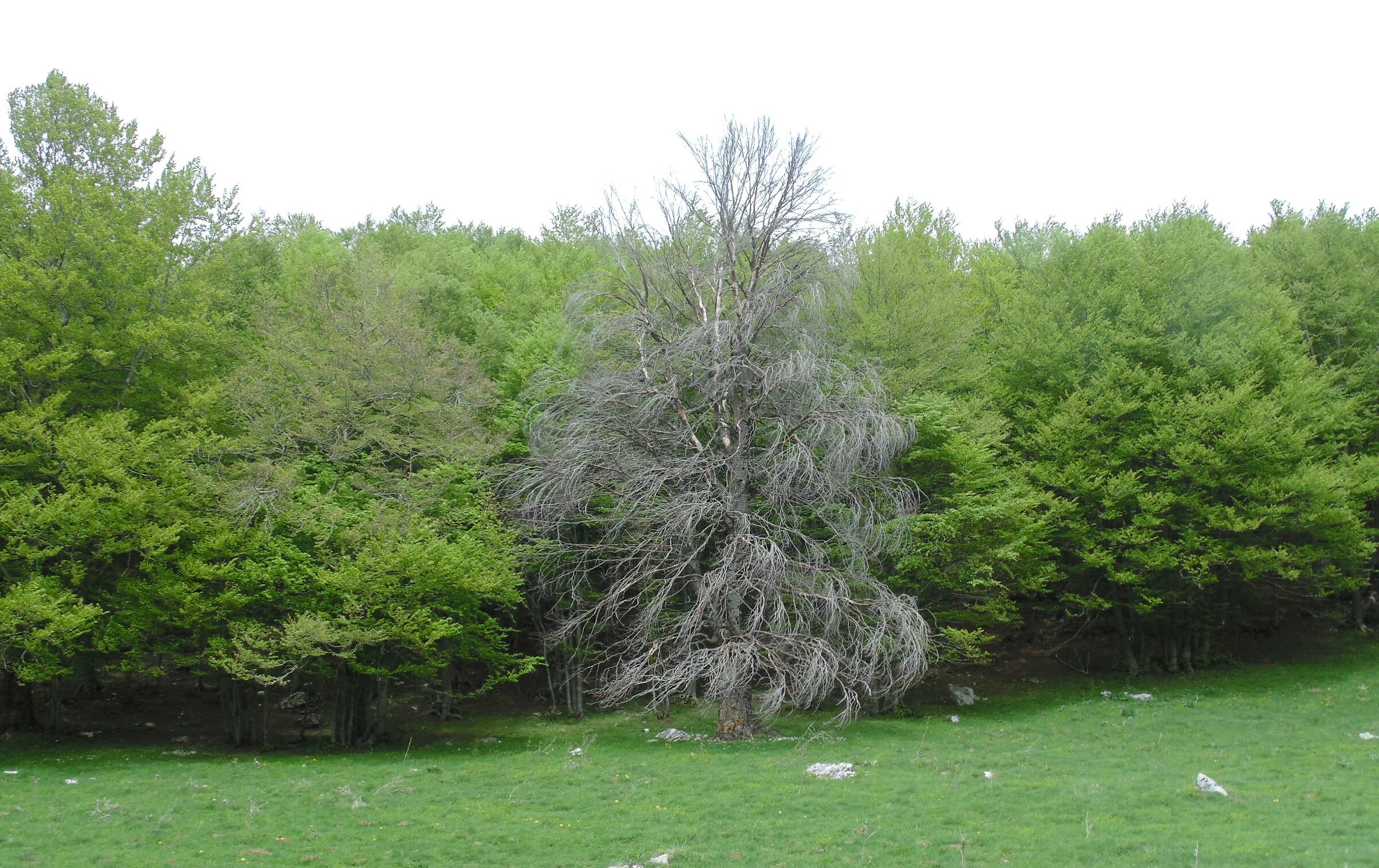 ultimi raggi di sole
