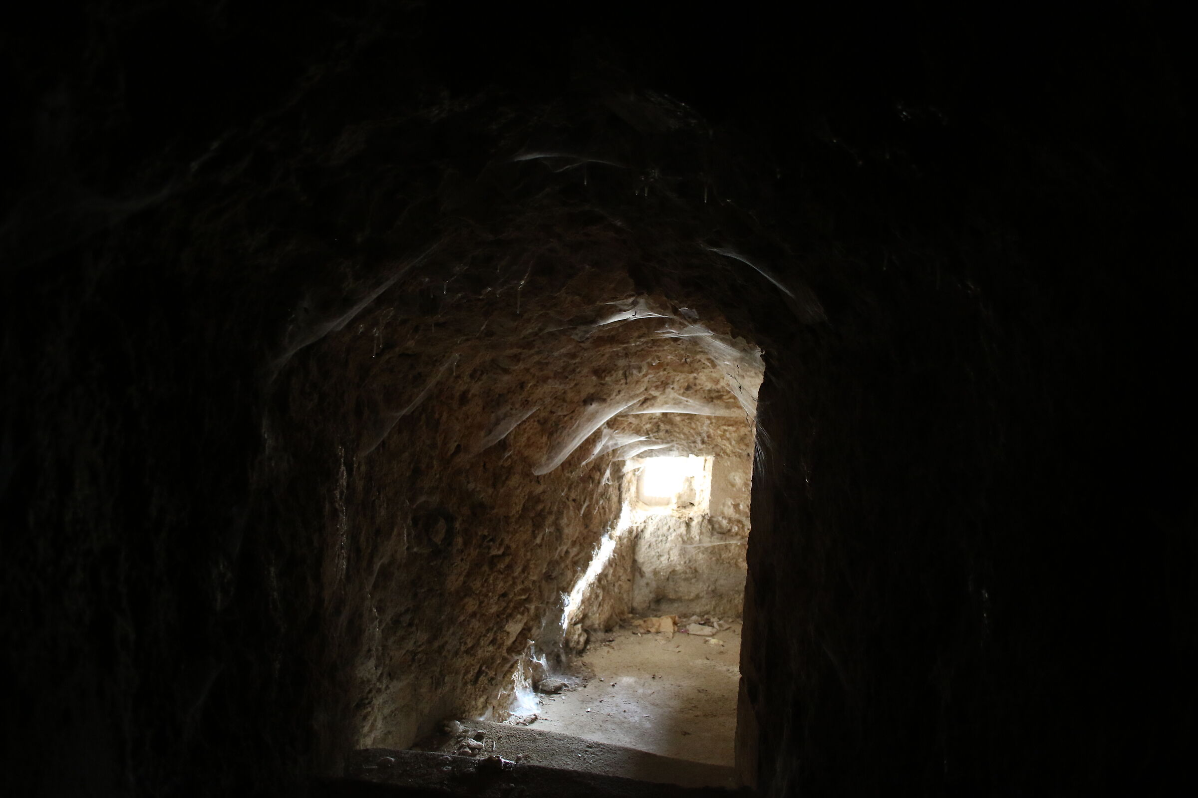 Spider's cave