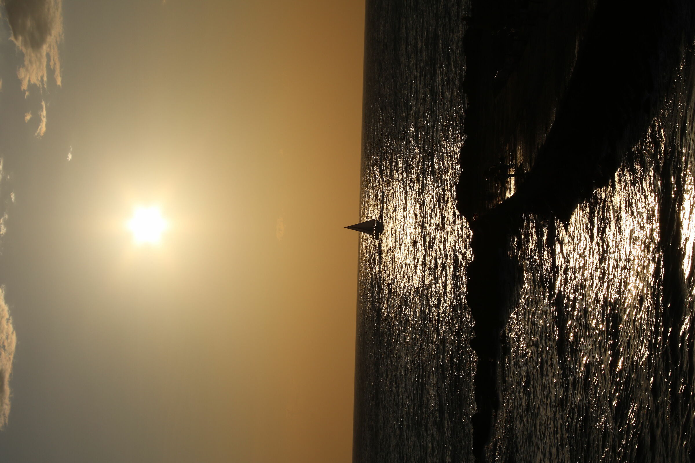 Untitled Photo