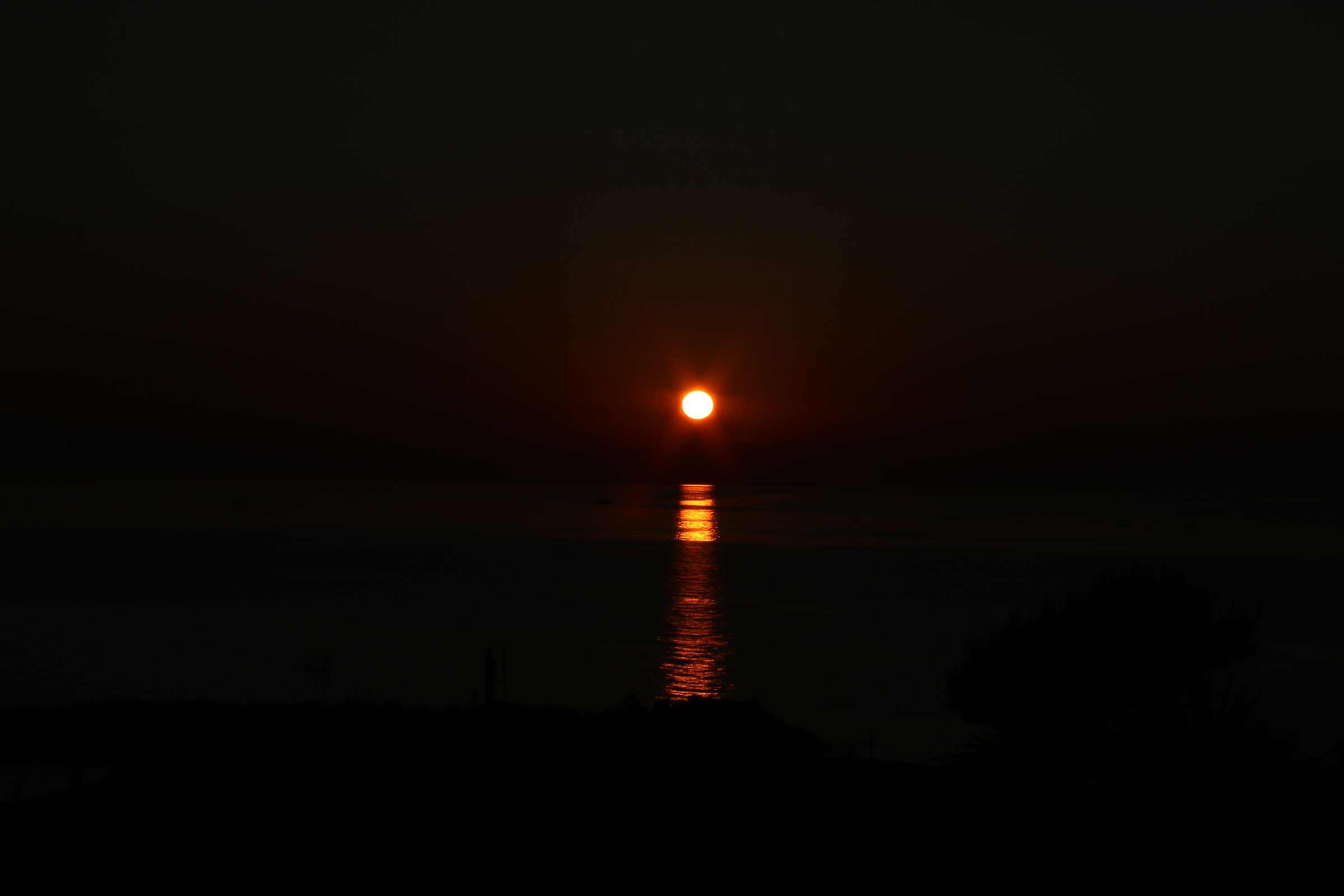 Untitled Photo