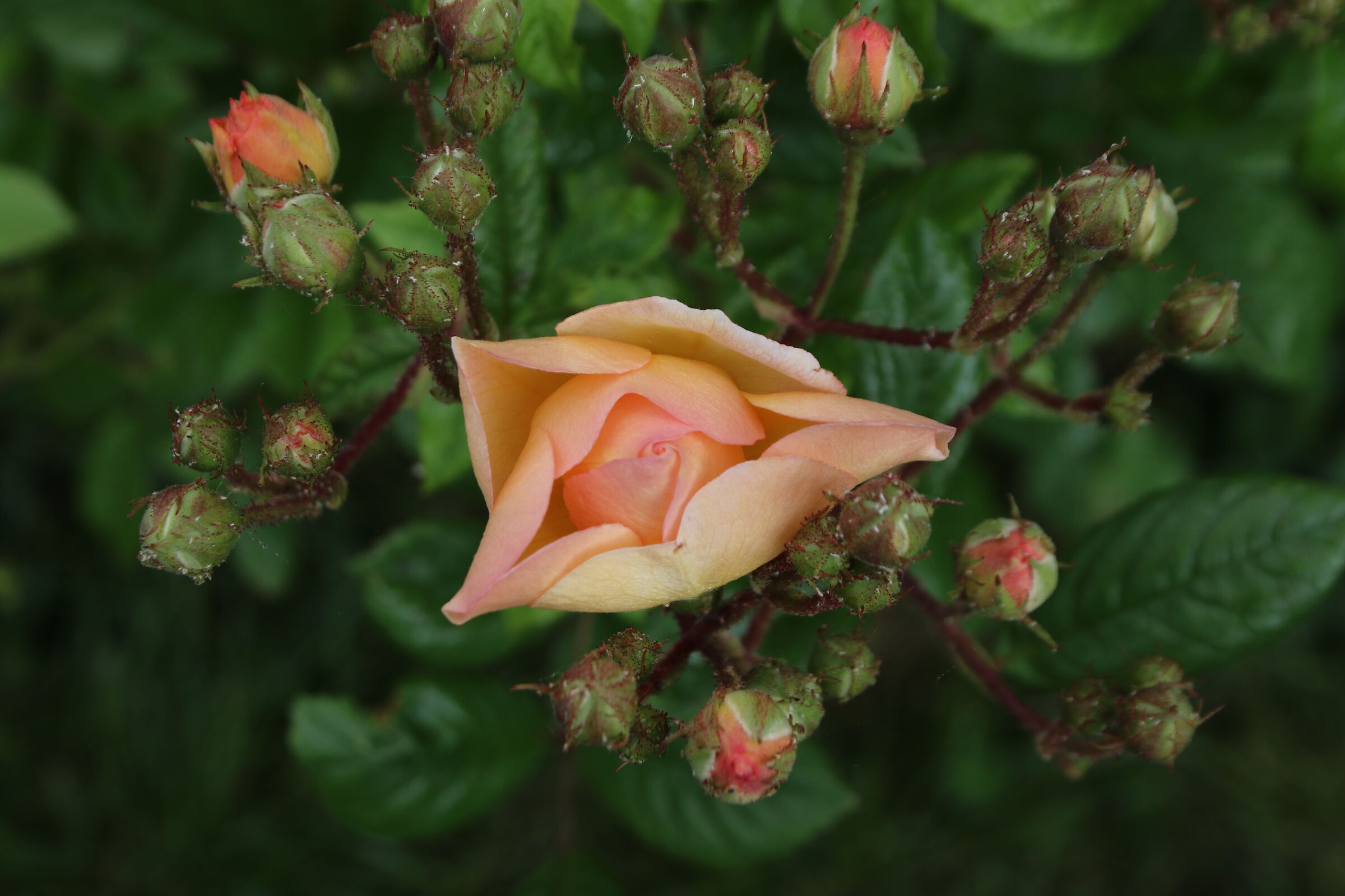 Untitled Photo