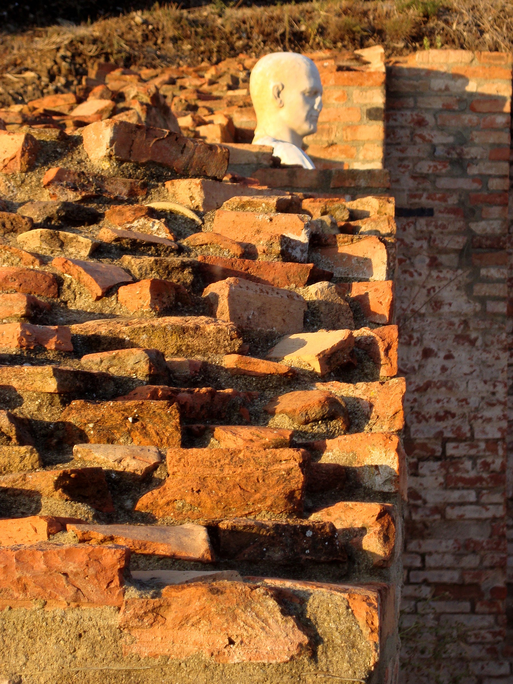 Excavations of Roselle