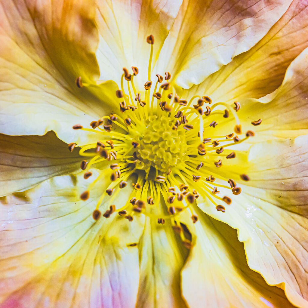 Nel cuore della vita