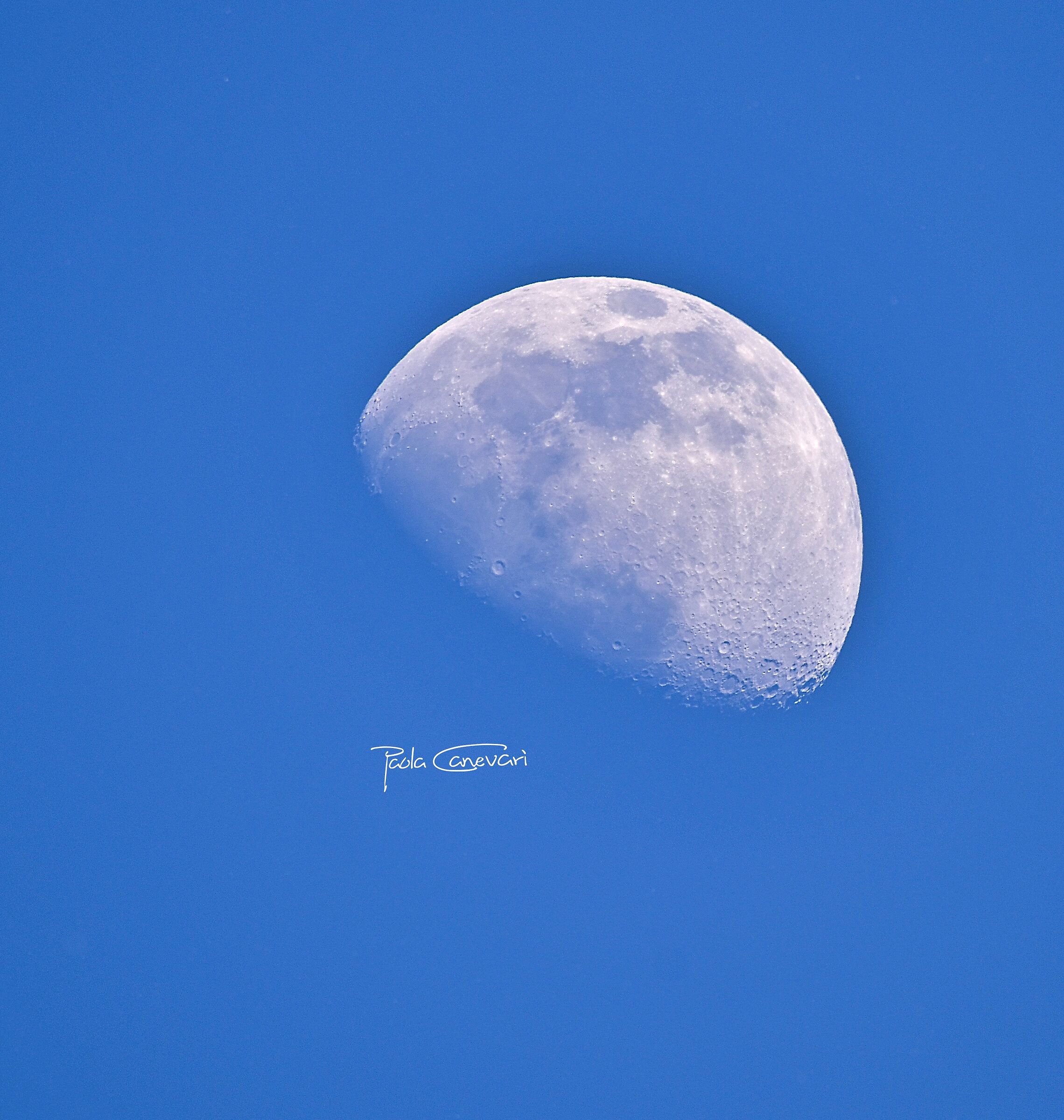 Look at that moon...