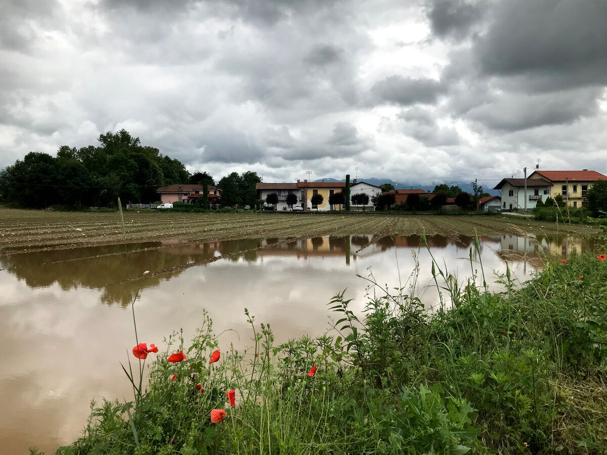 Dopo l'acquazzone