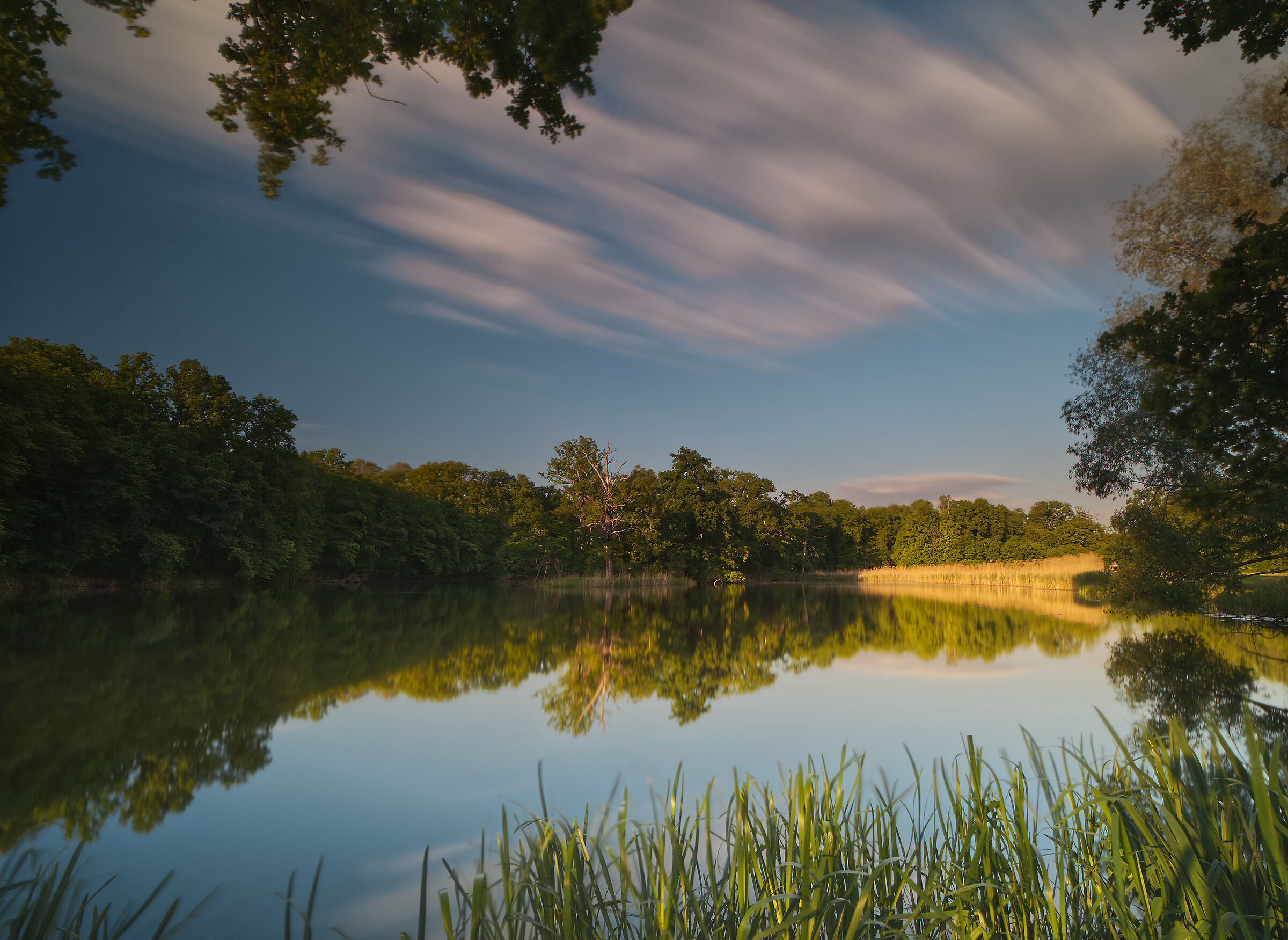 Il laghetto vicino al fiume Odra