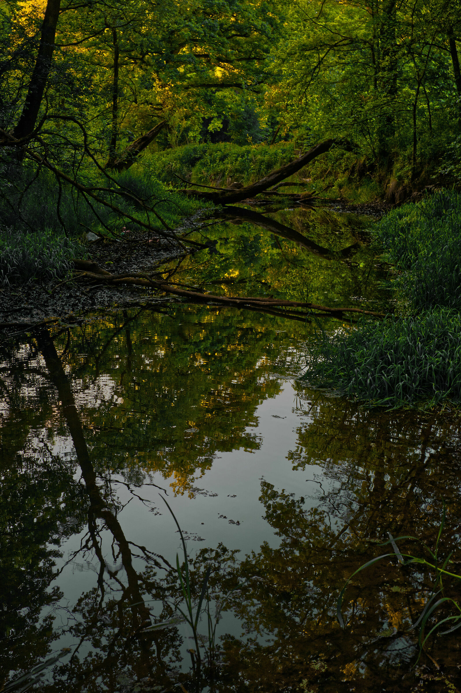 The Olawa river in Wroclaw
