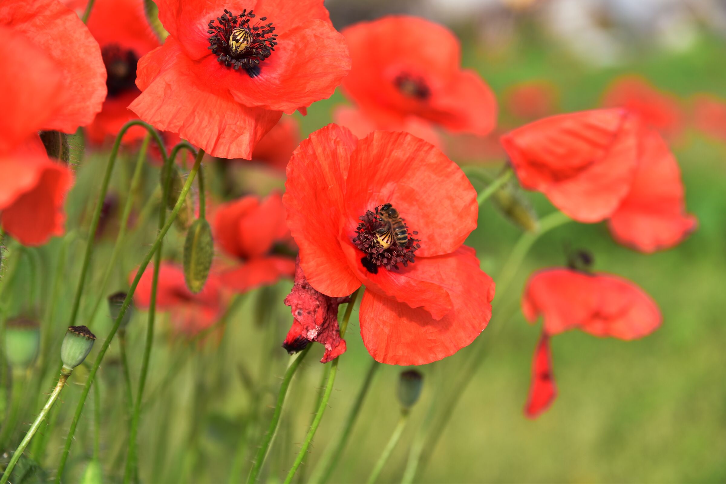 Iniziamo la giornata