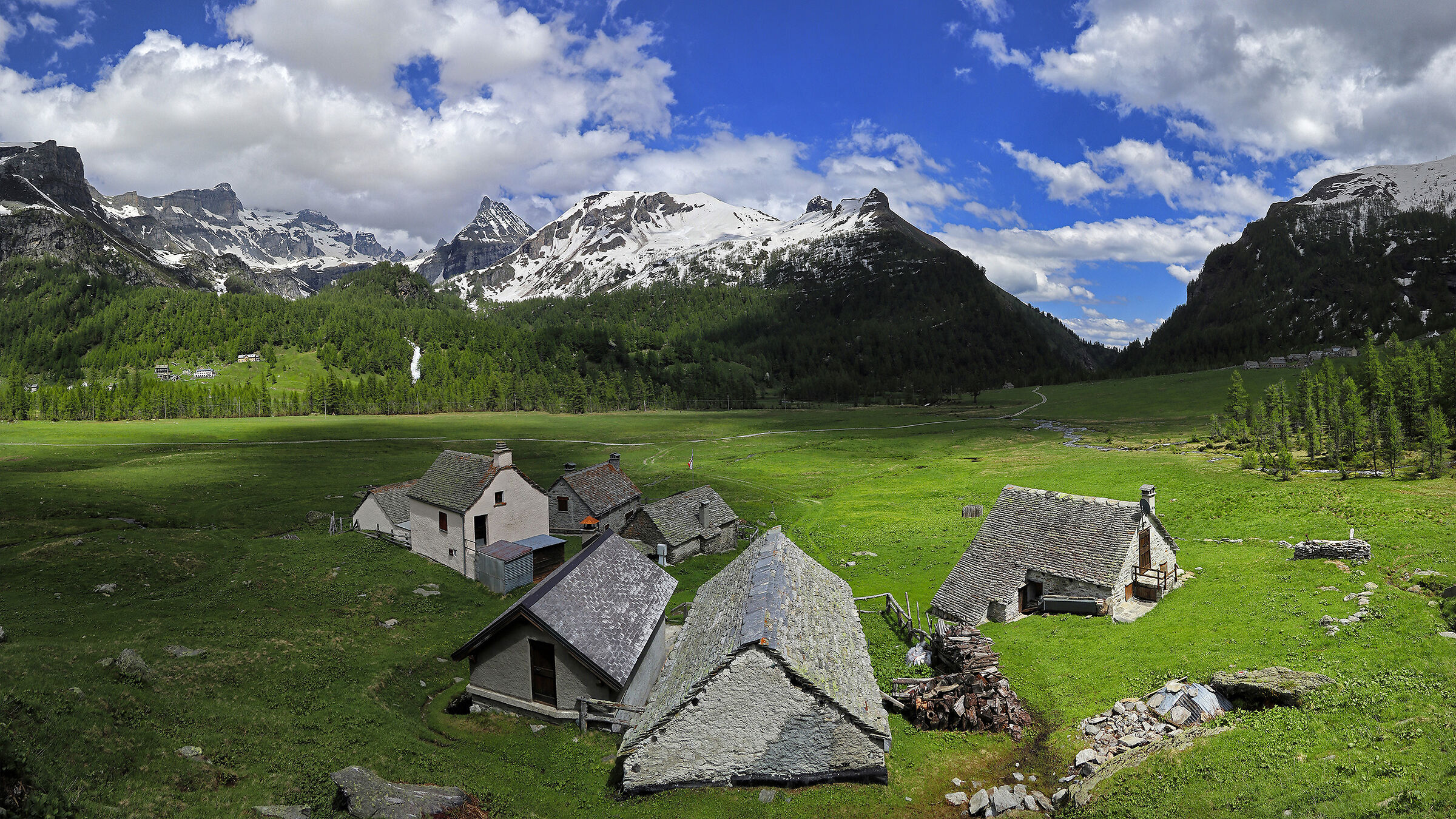 spring at the Alpe Vigil