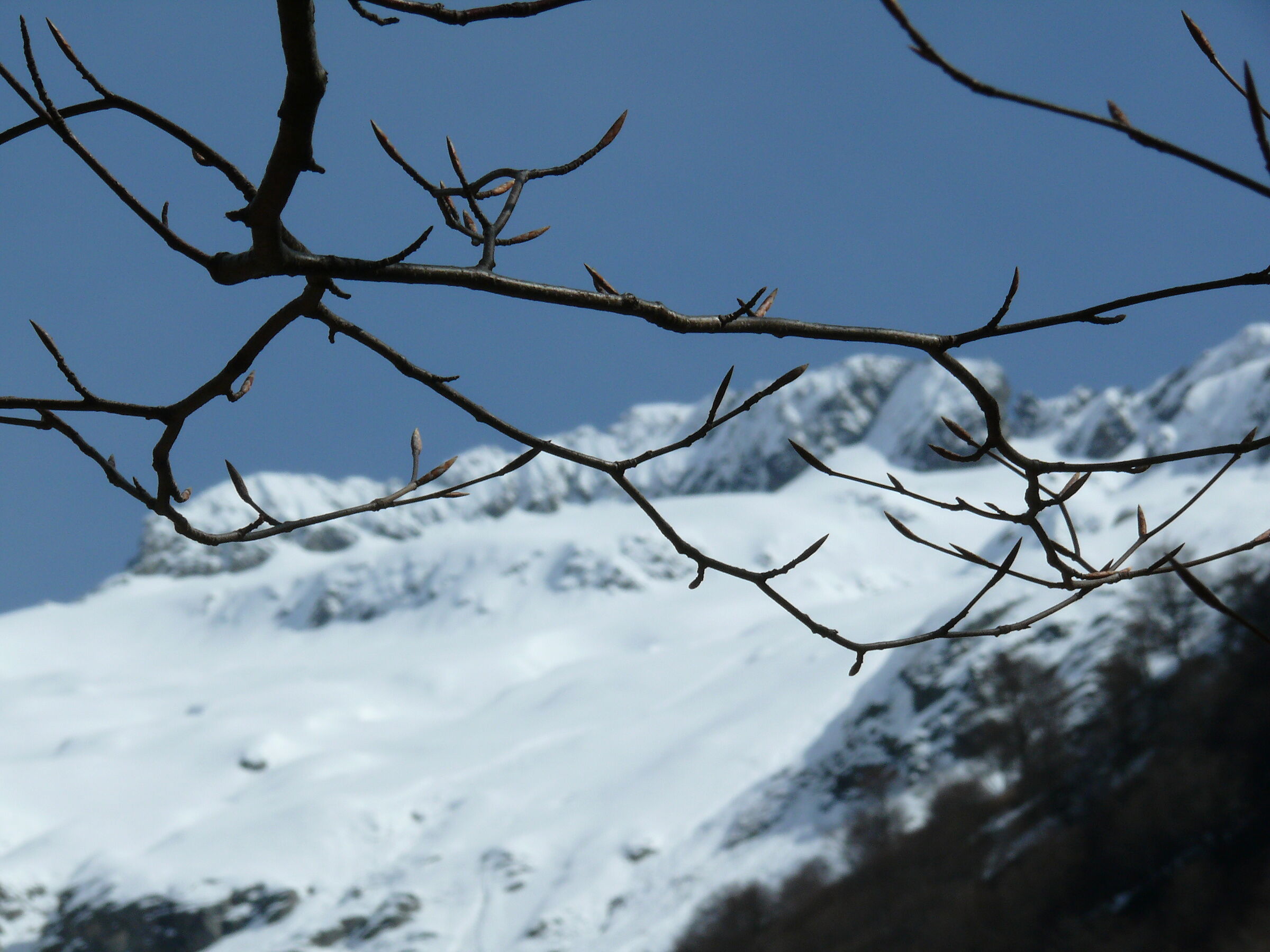 The Awakening of Nature