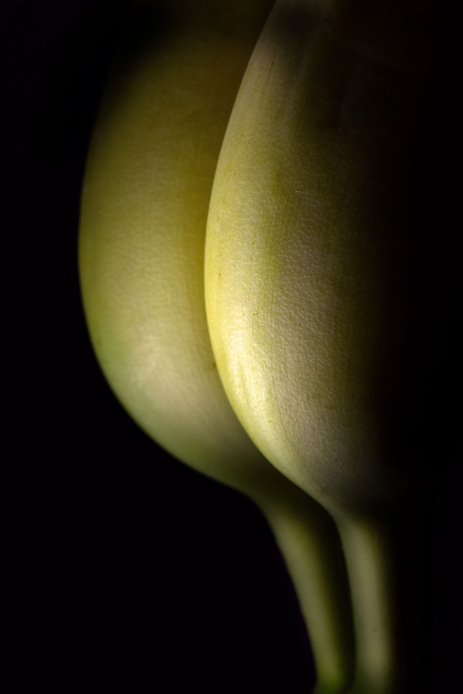 il lato B delle banane