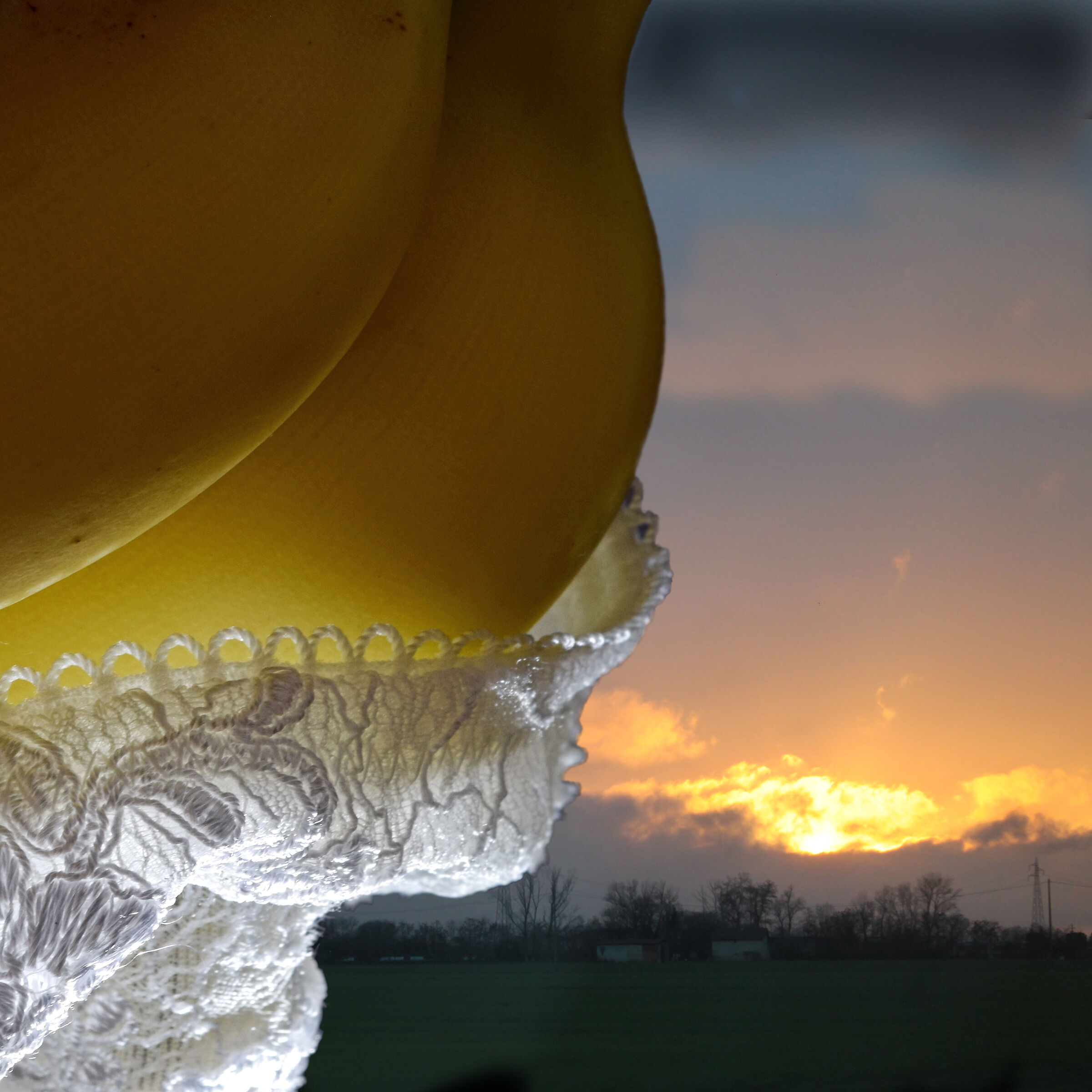 banane vista tramonto