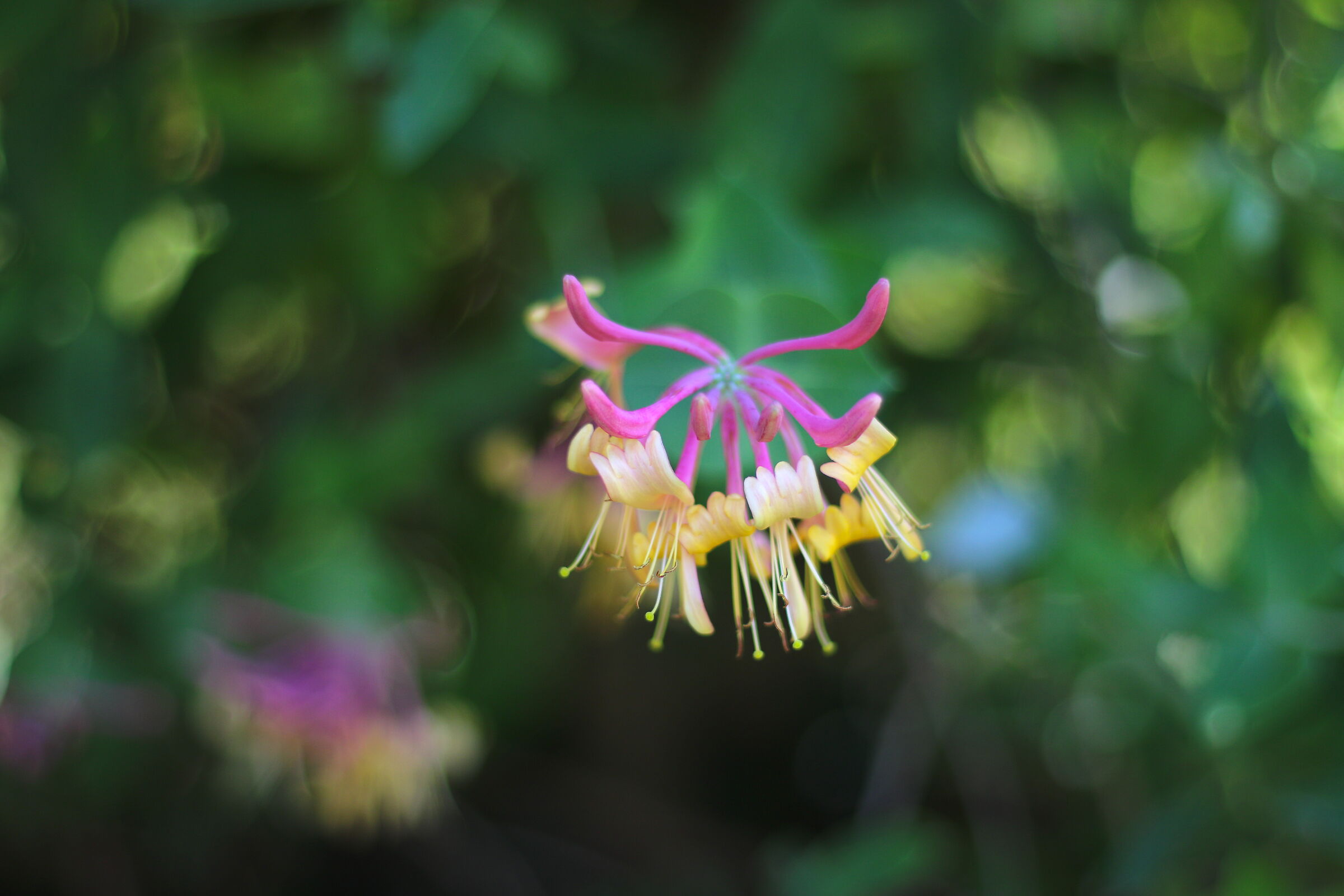 Untitled Photo