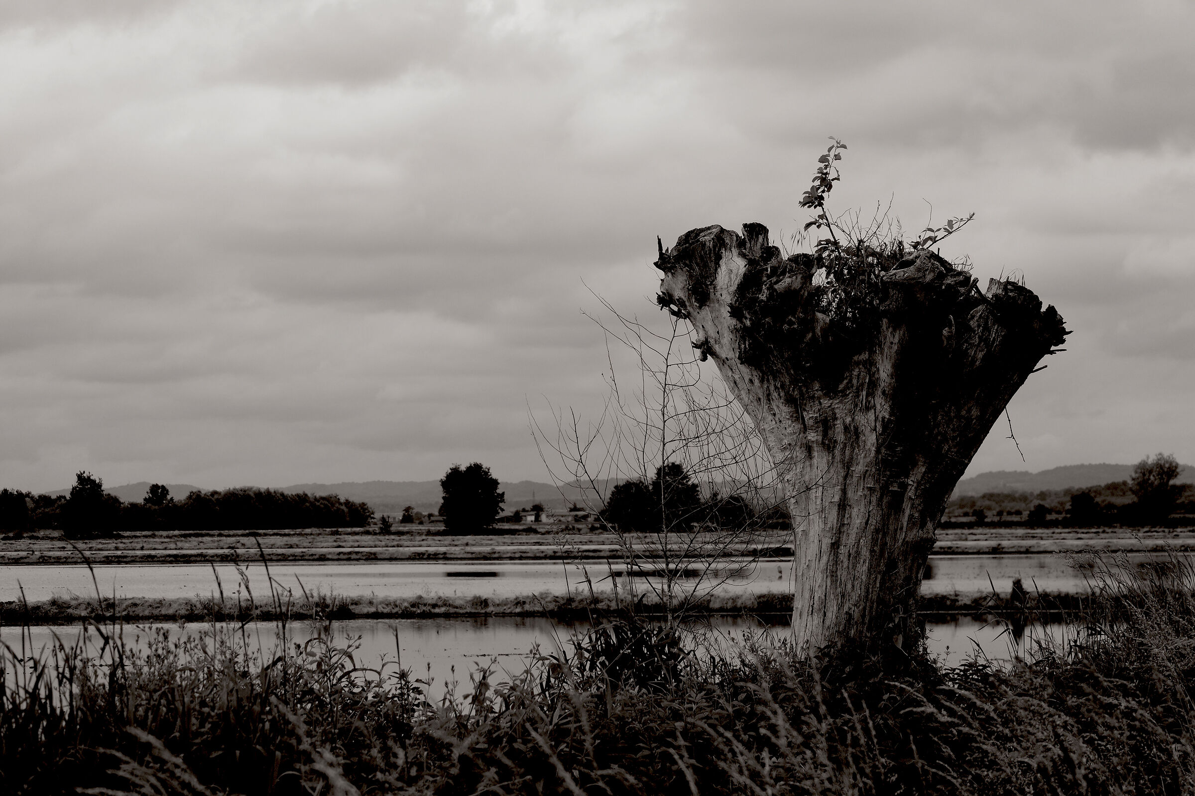 Qualcosa più in là