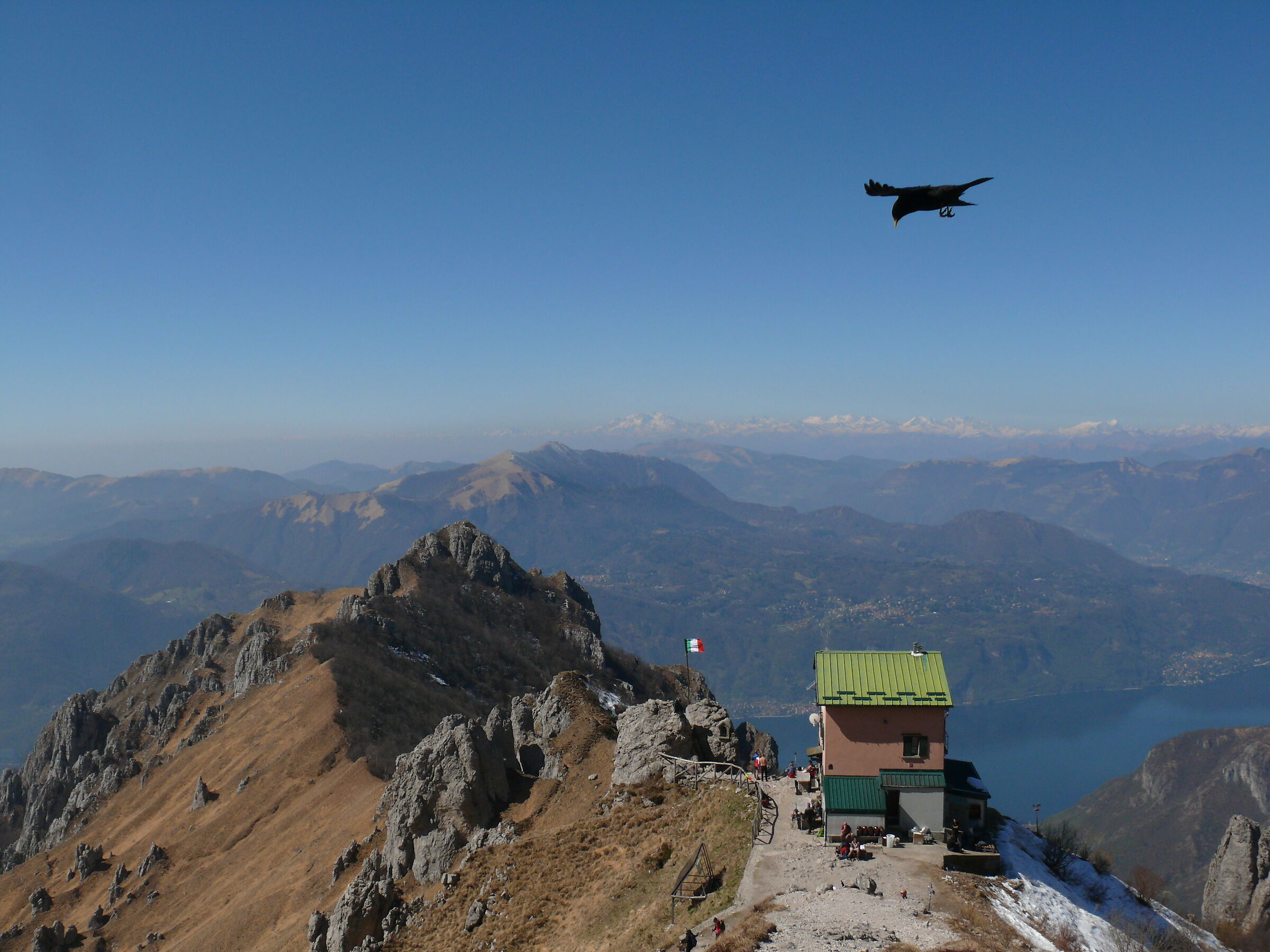 The Guardian of Rosalba