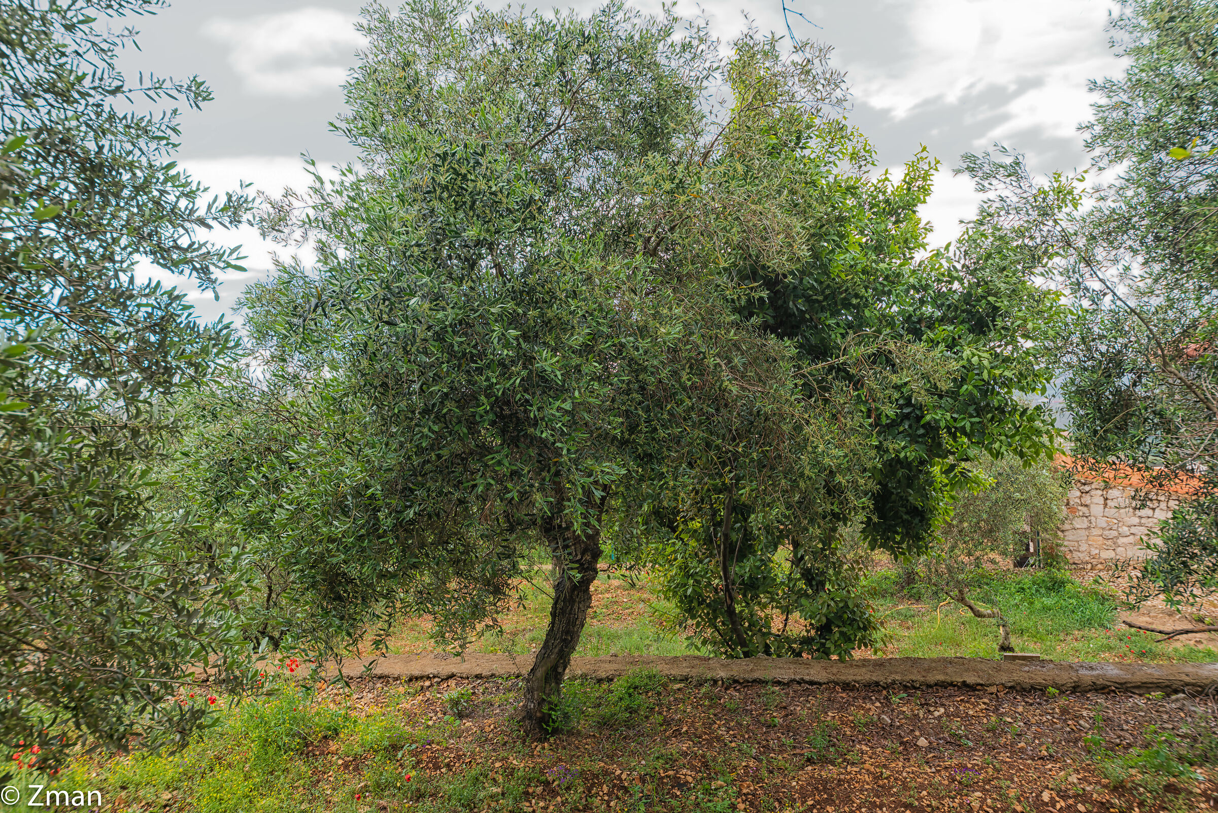 Lockdown Nel nostro Rifugio del Sud