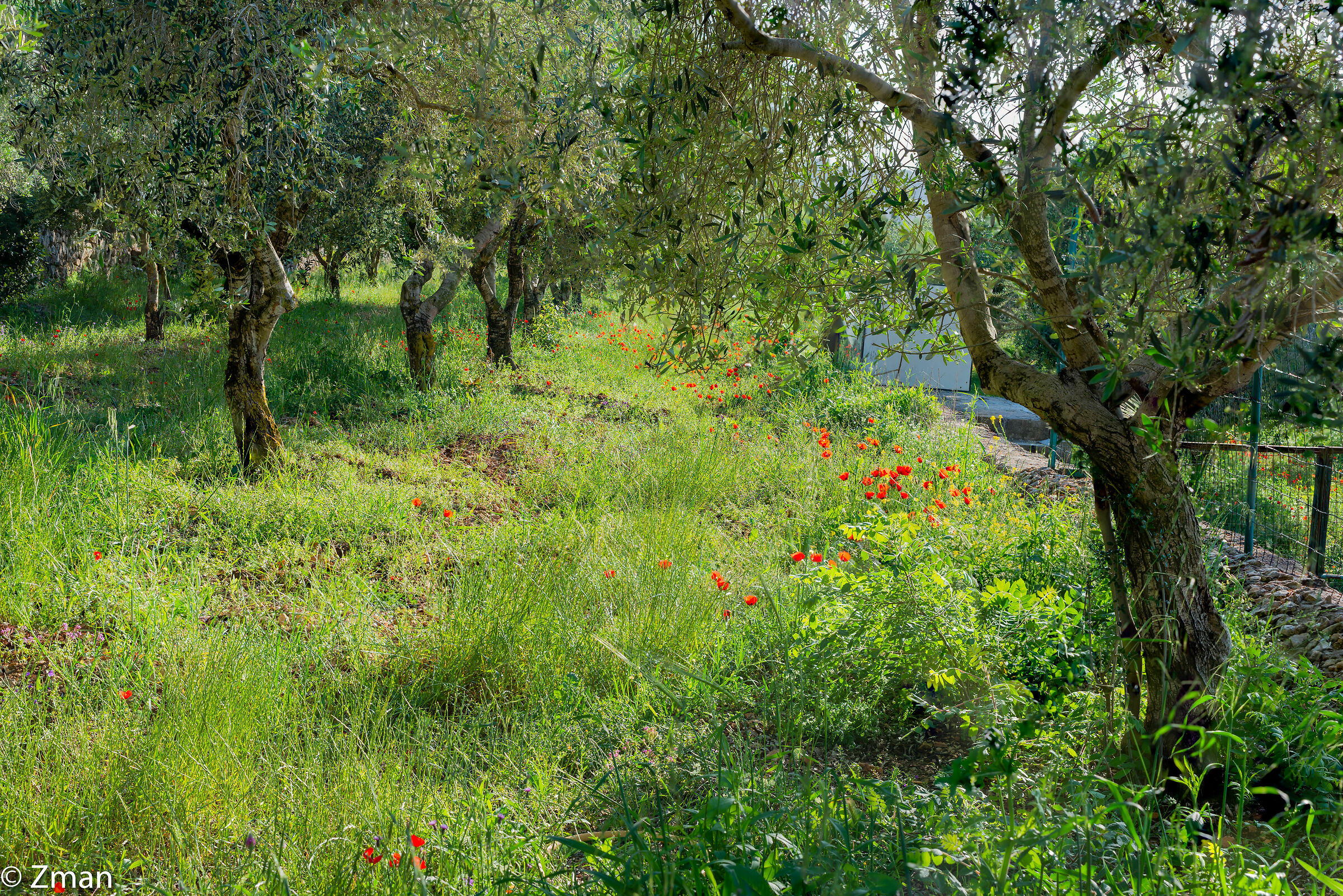 Lockdown Nel nostro Rifugio del Sud