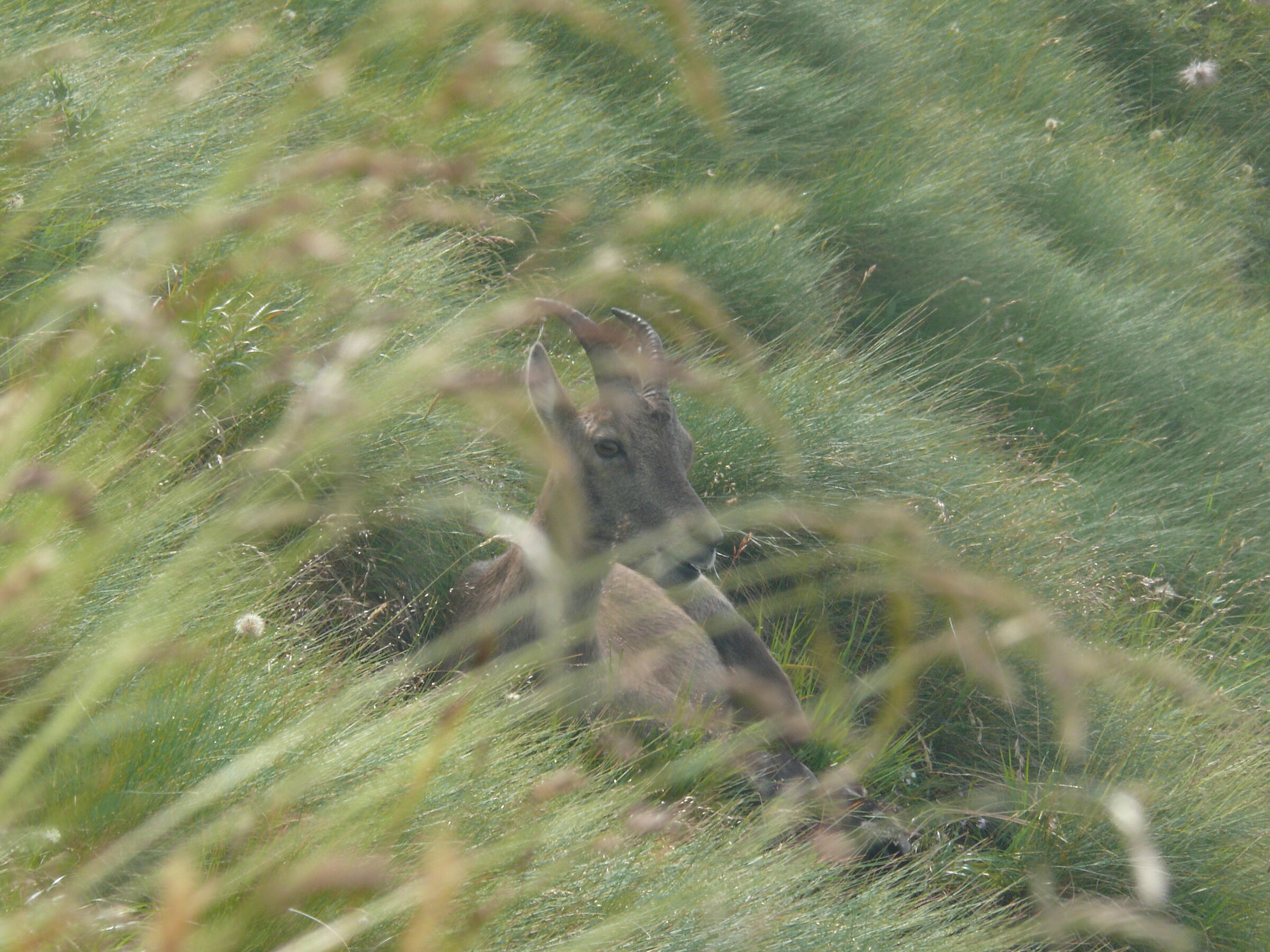 I'm pretending nothing