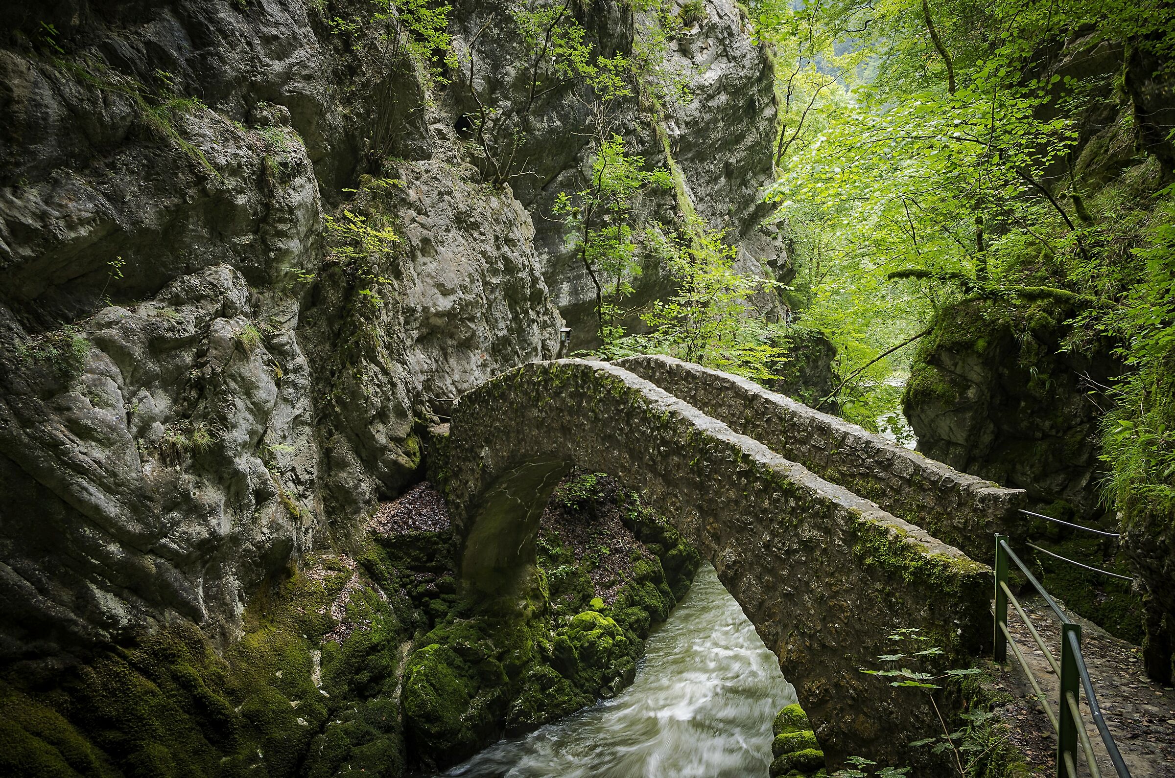 Bridge near Neuchatel
