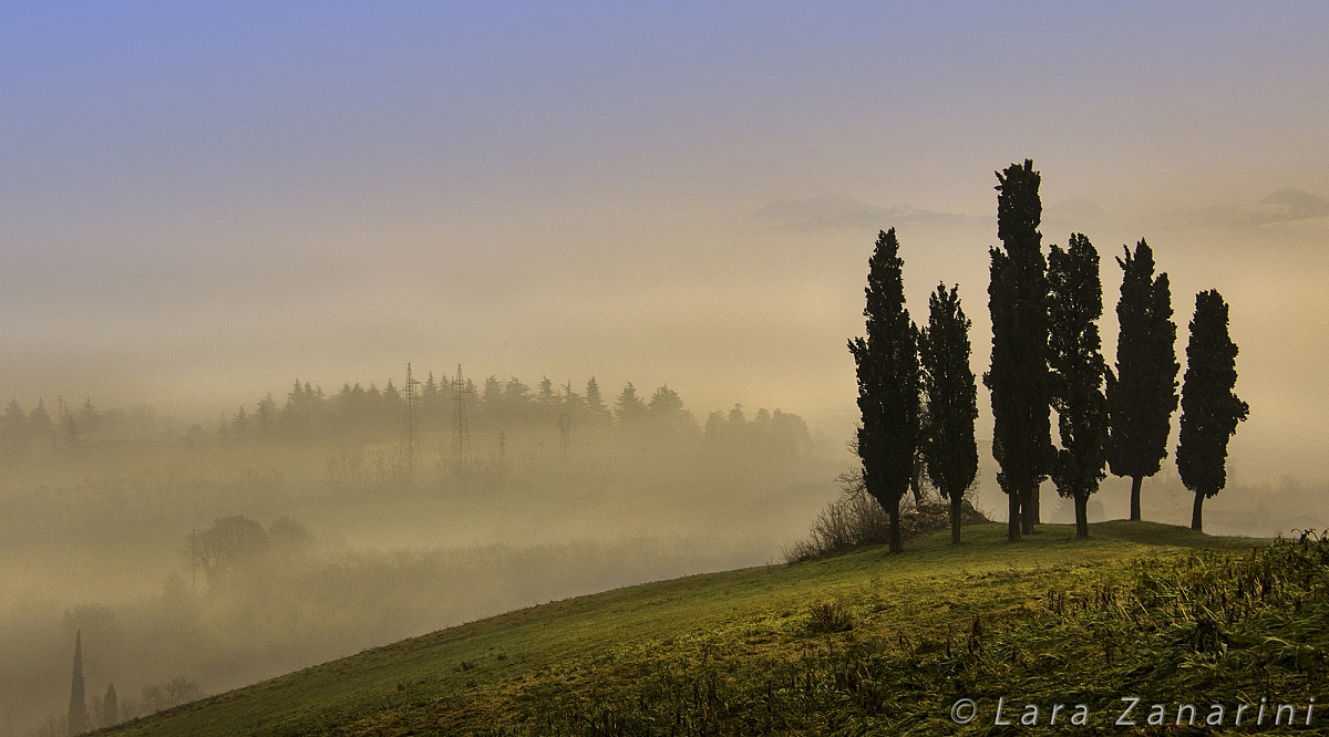 Morning mists