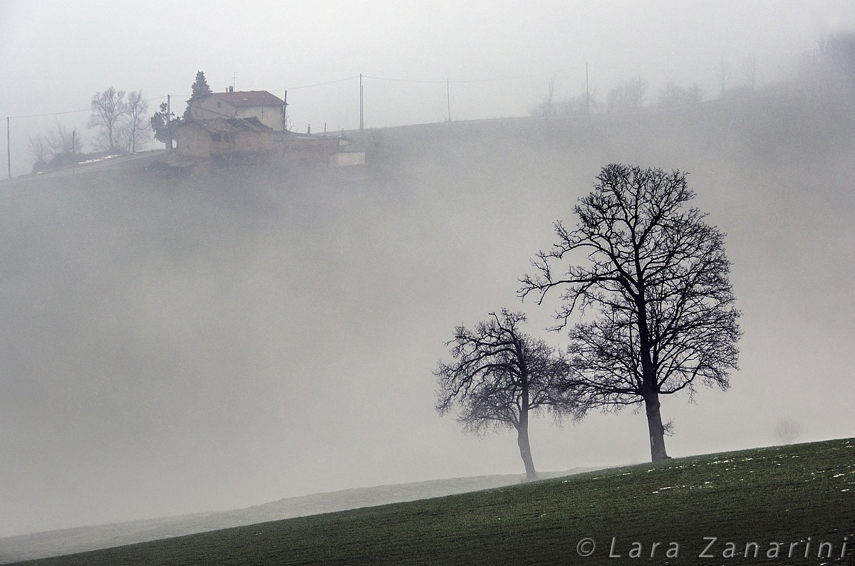 Cottage in the fog