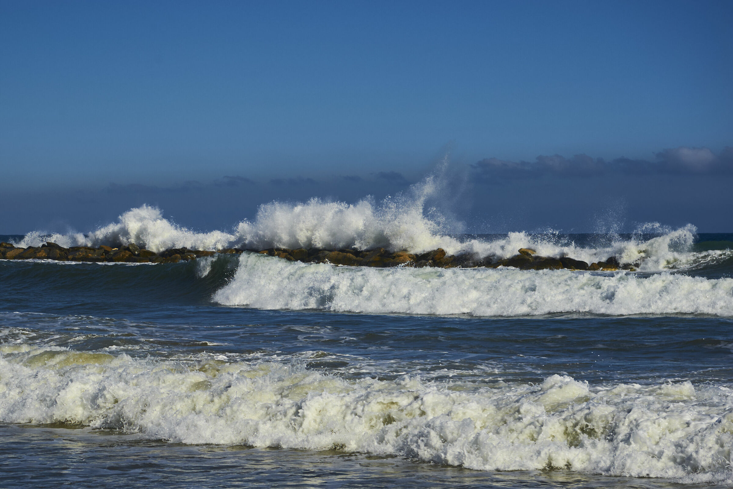 Schiuma di primavera