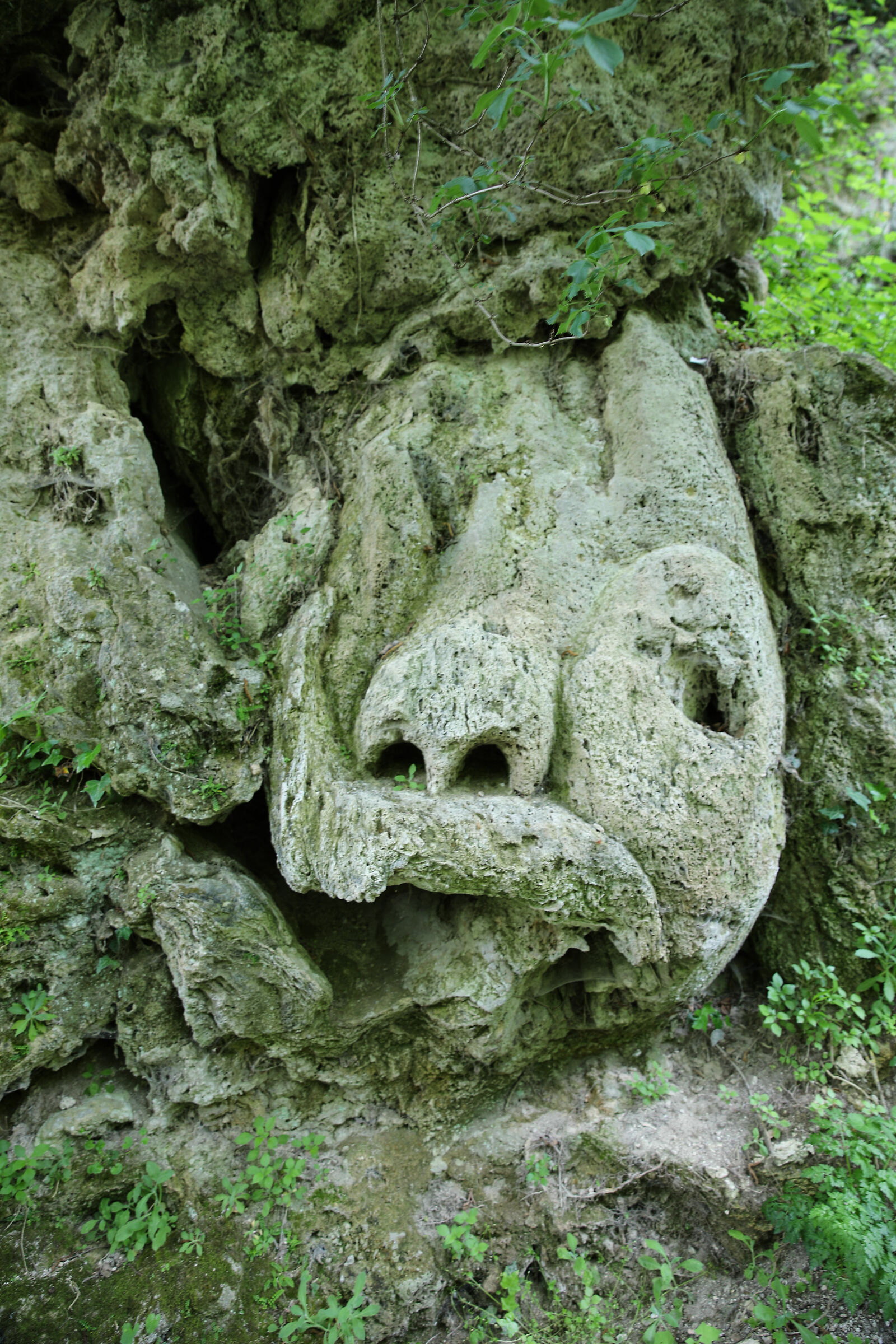 Face 1 " Li Vurgacci"