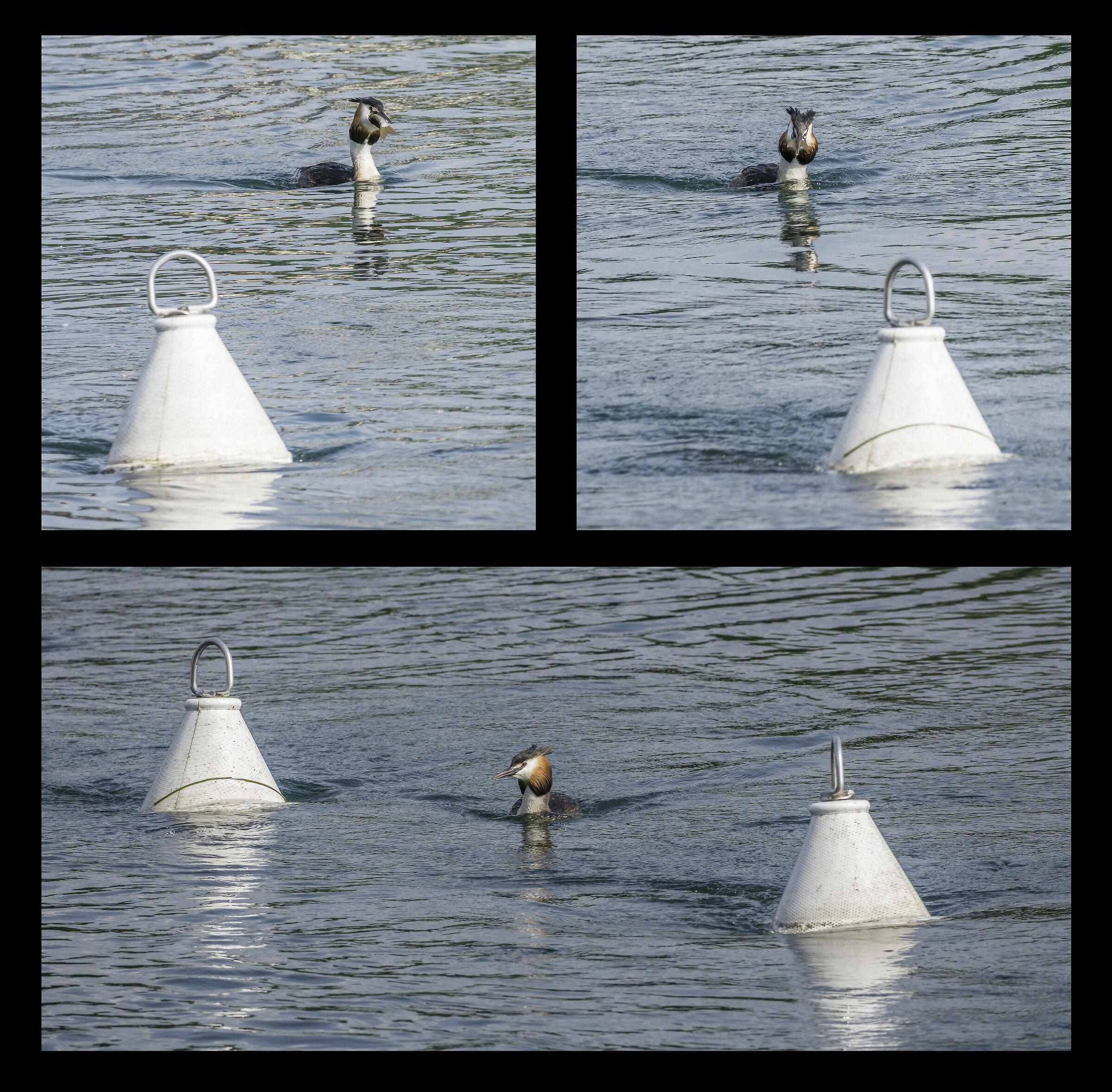 Thursday 14 May 2020, 17:08:10 - 17:09:28