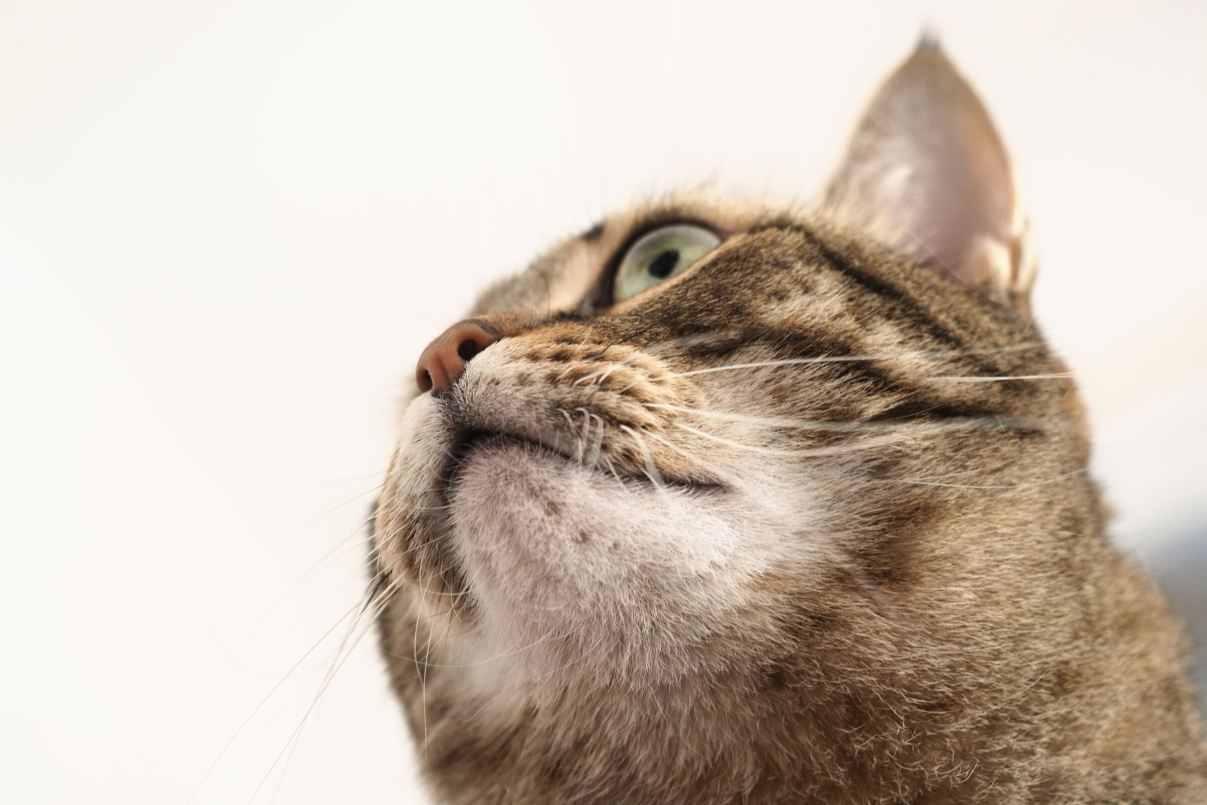 Other than modeling!