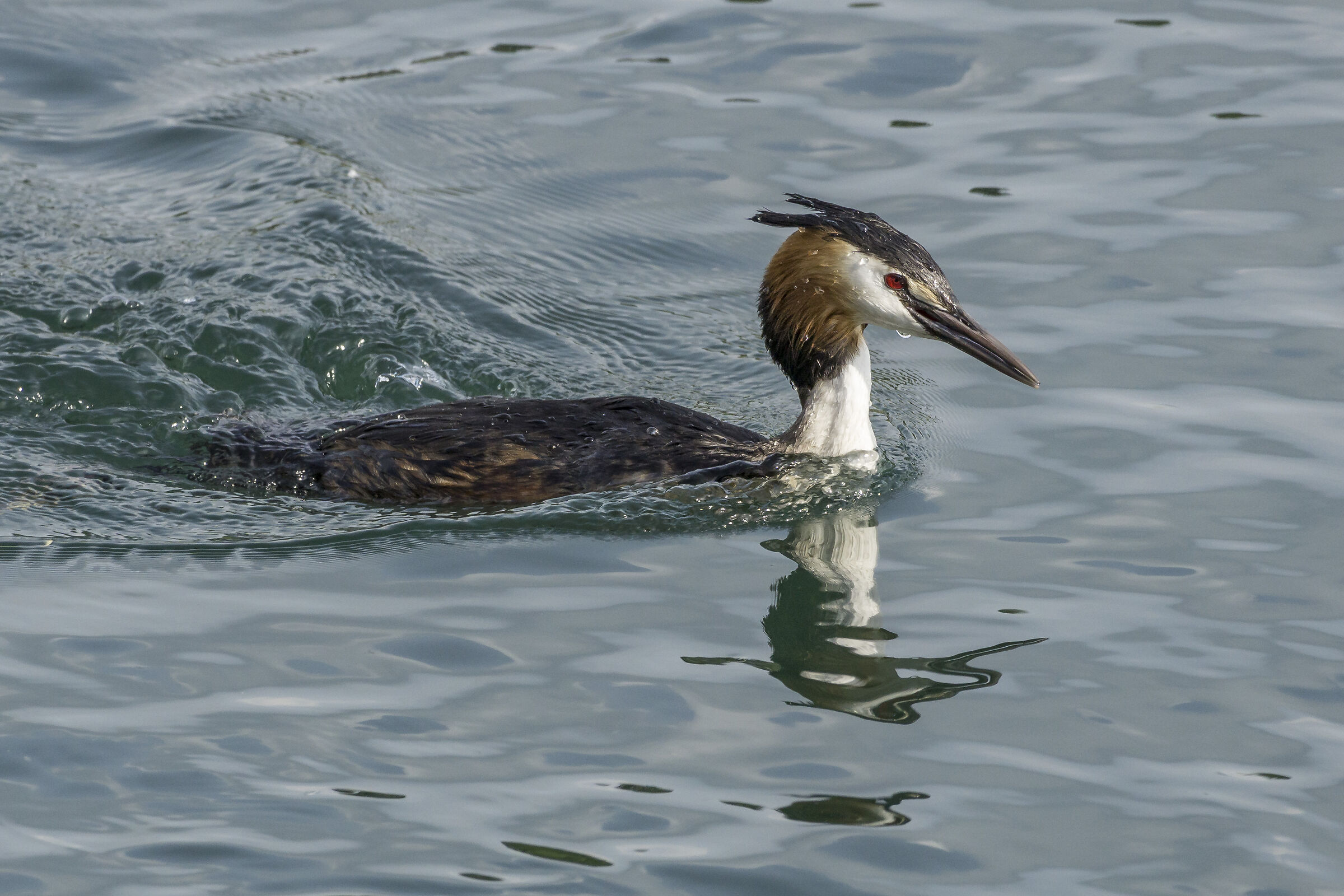 Giovedì 14 maggio 2020, 17:10:04