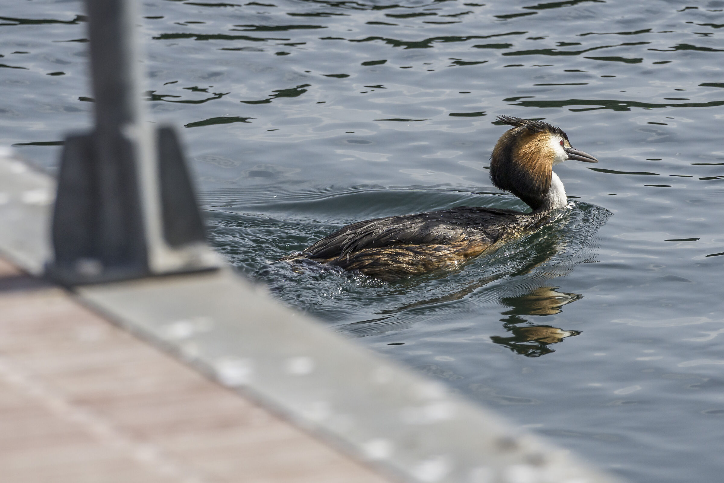 Giovedì 14 maggio 2020, 17:11:50