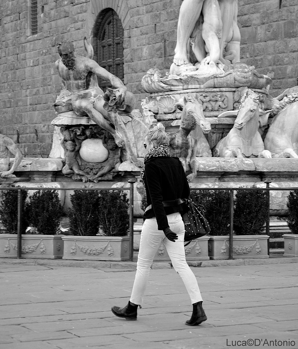 Le Bellezze di Firenze