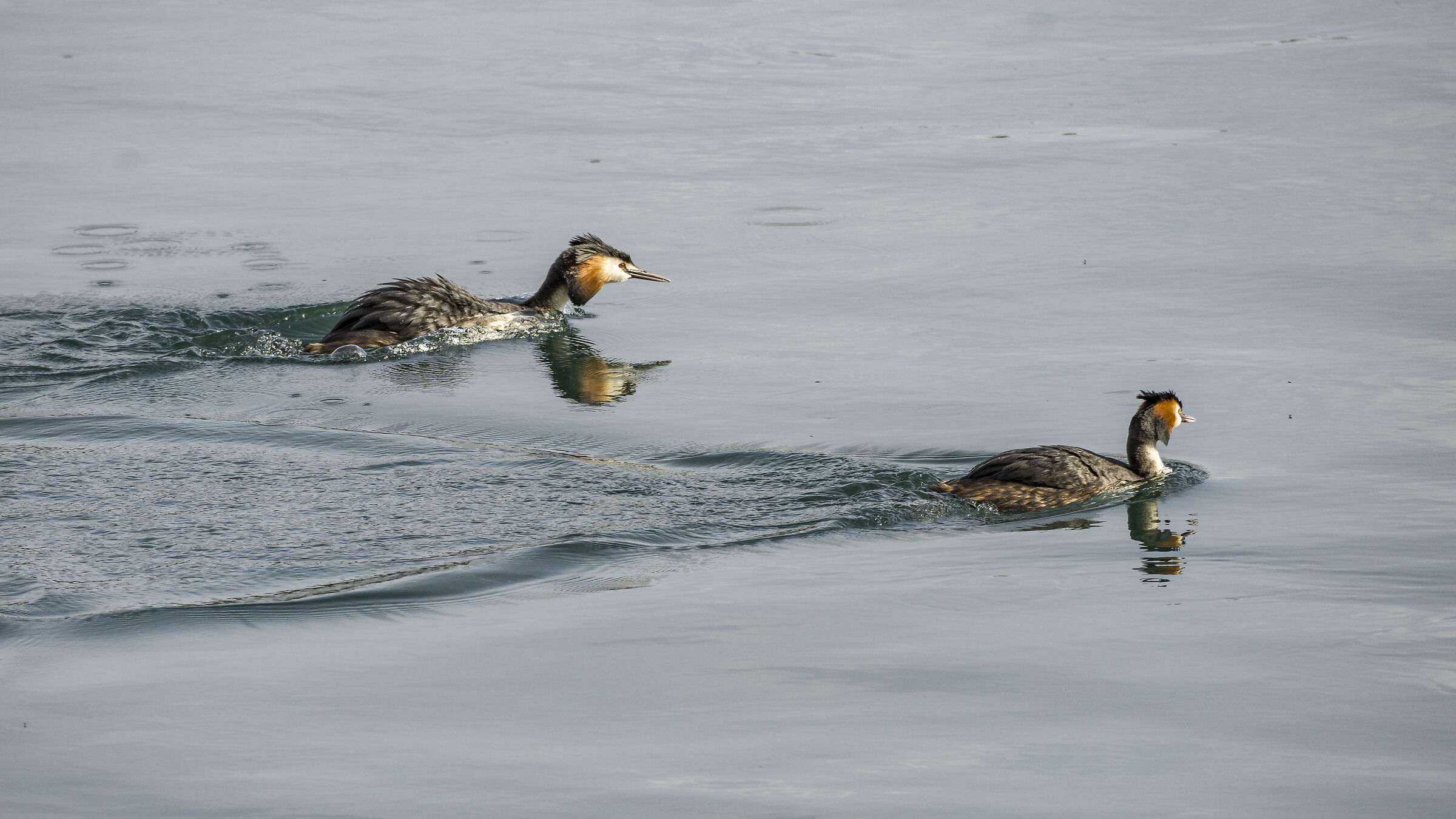 Thursday, May 14, 2020, 17:28:00