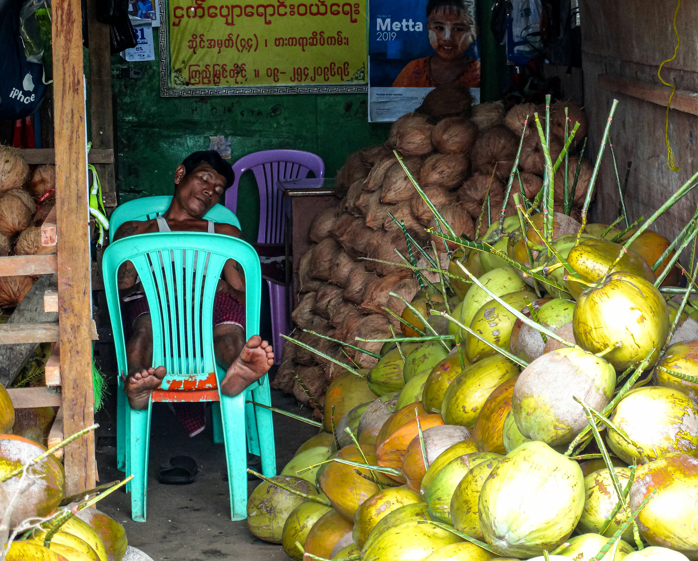 pennichella in birmania