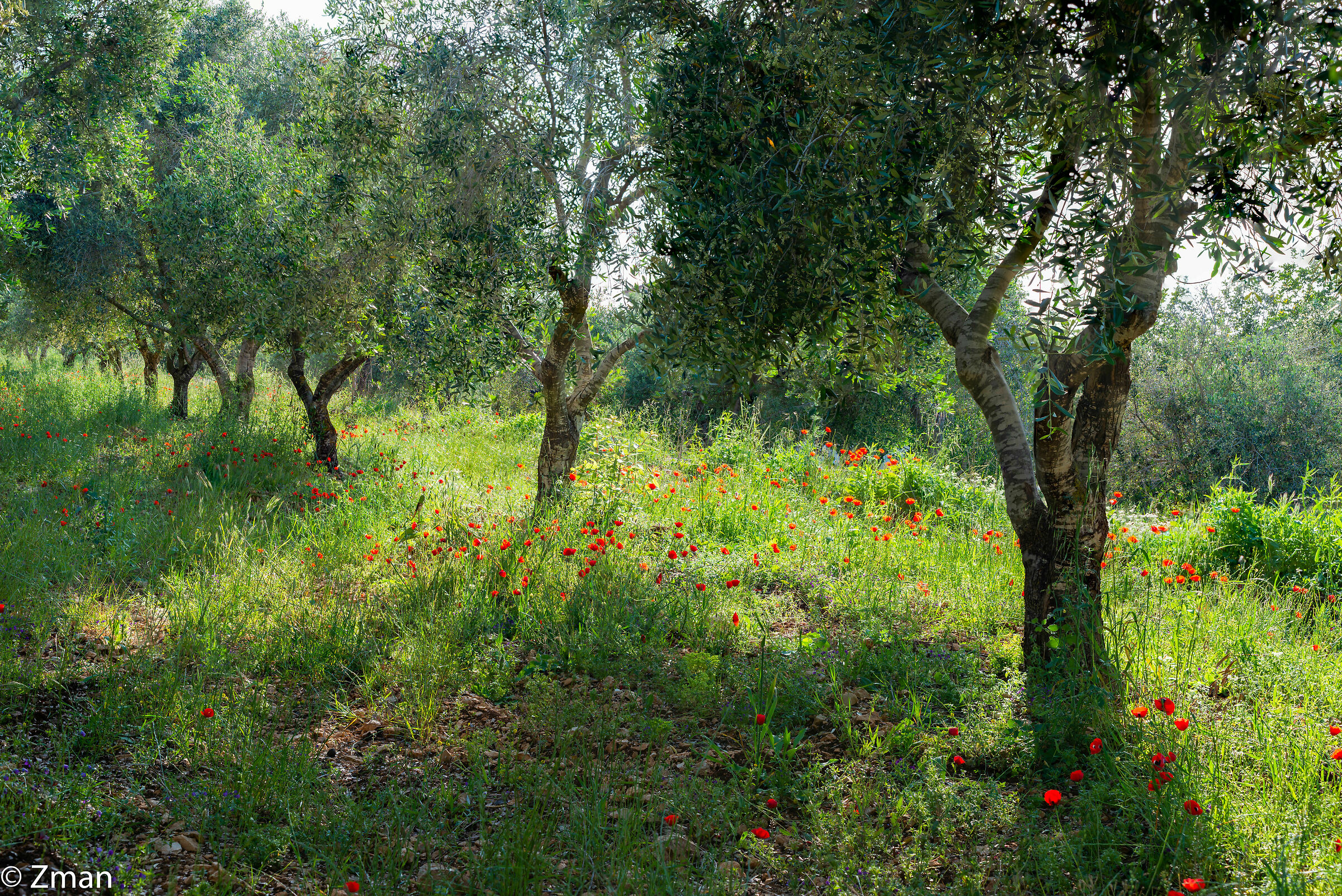 Lockdown Nel nostro Rifugio del Sud