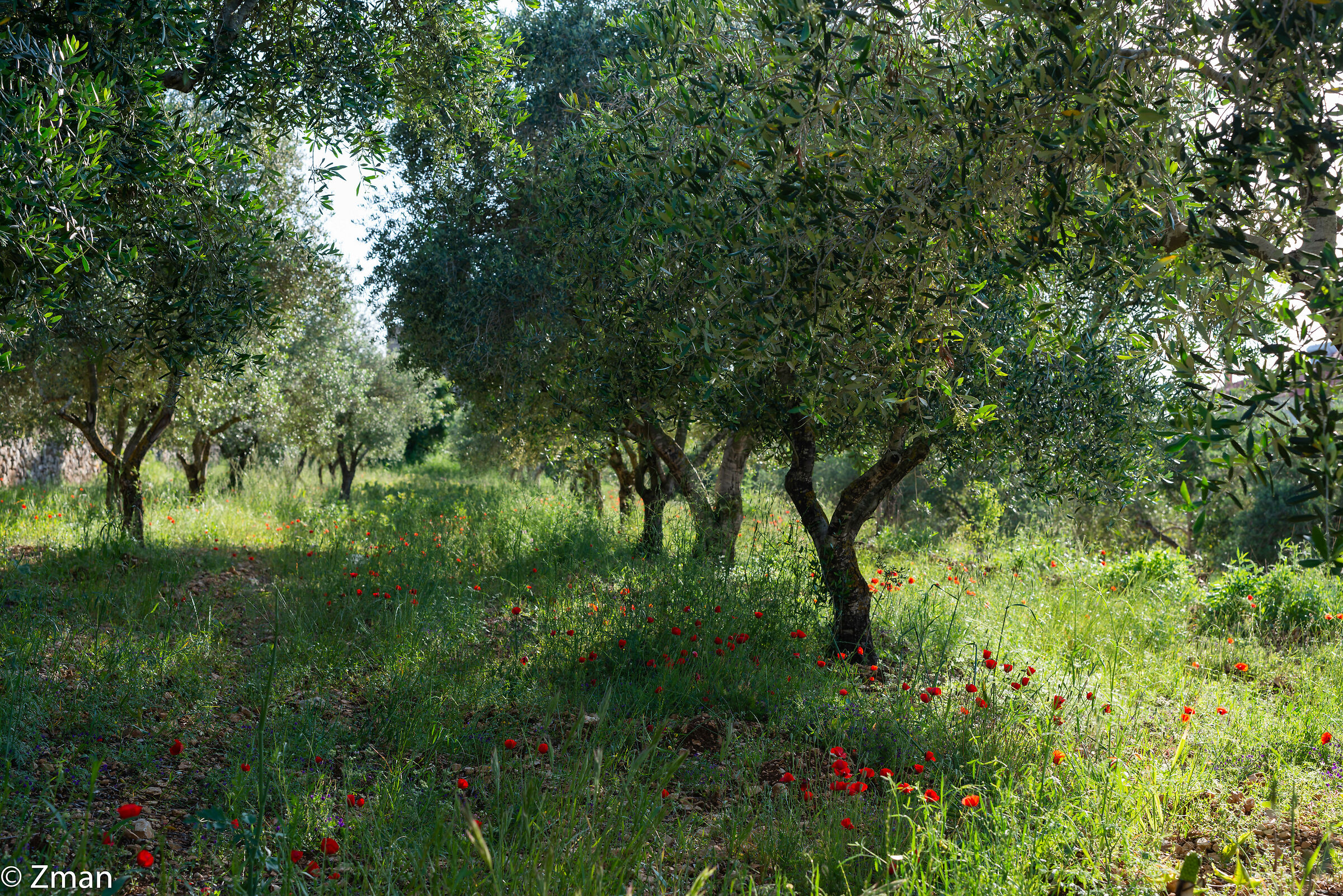Lockdown Nel nostro Rifugio del Sud