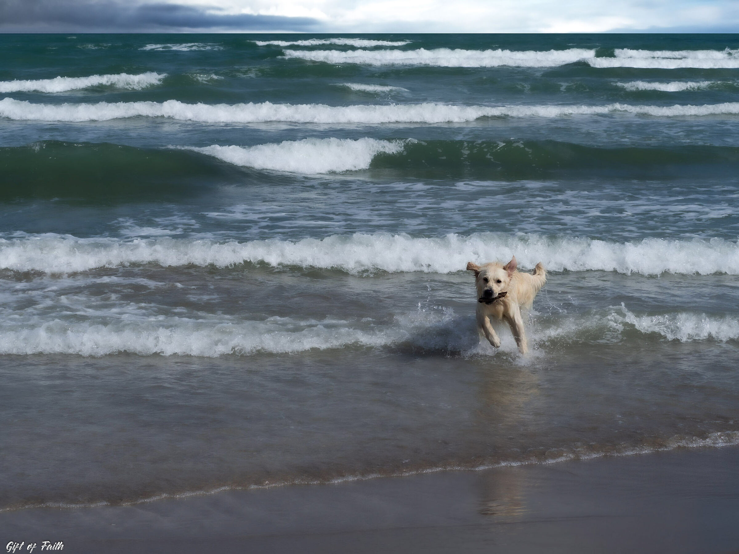 Finalmente il primo bagno